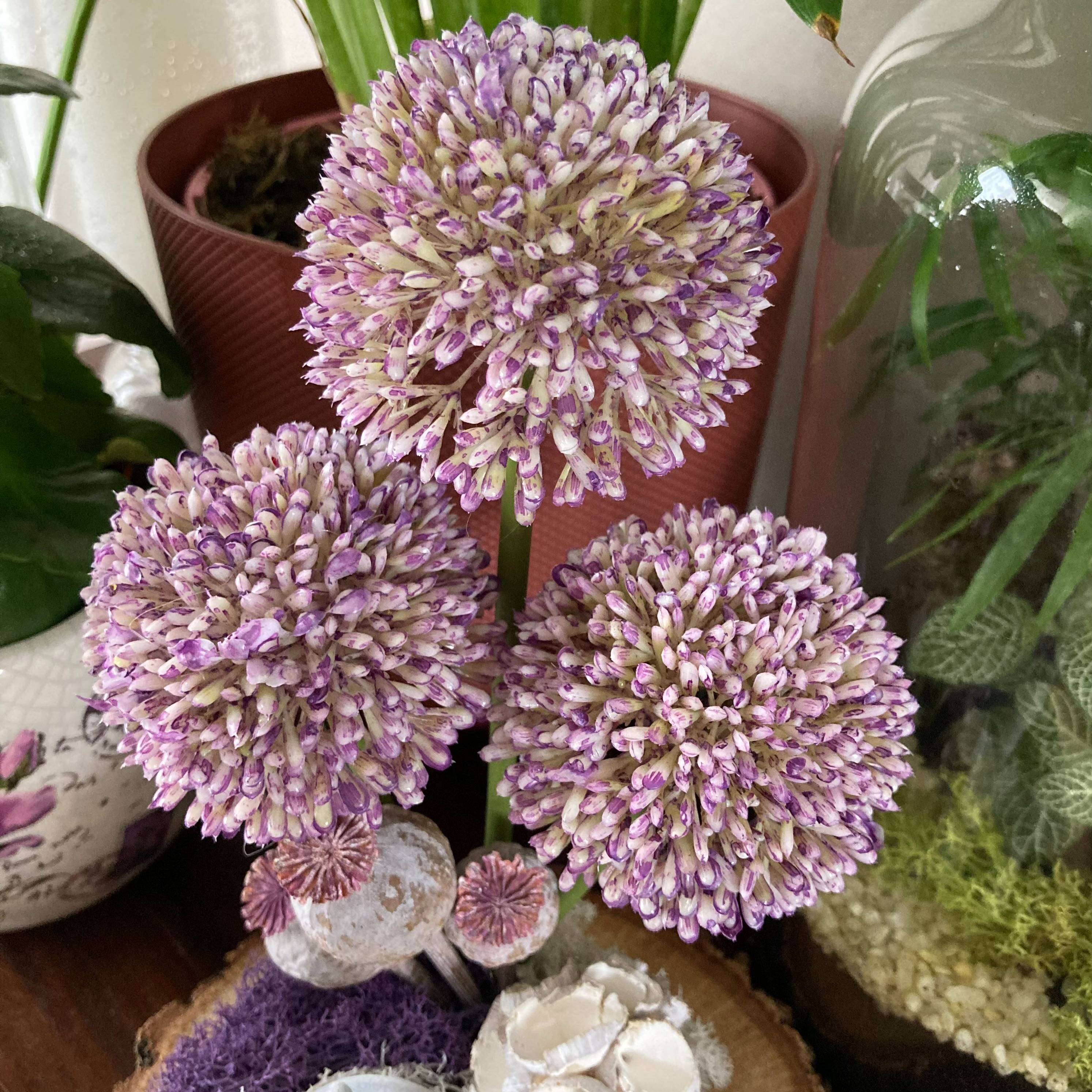 Vitrine 7304839f36562ffbd4e42d4c6391b327.jpg