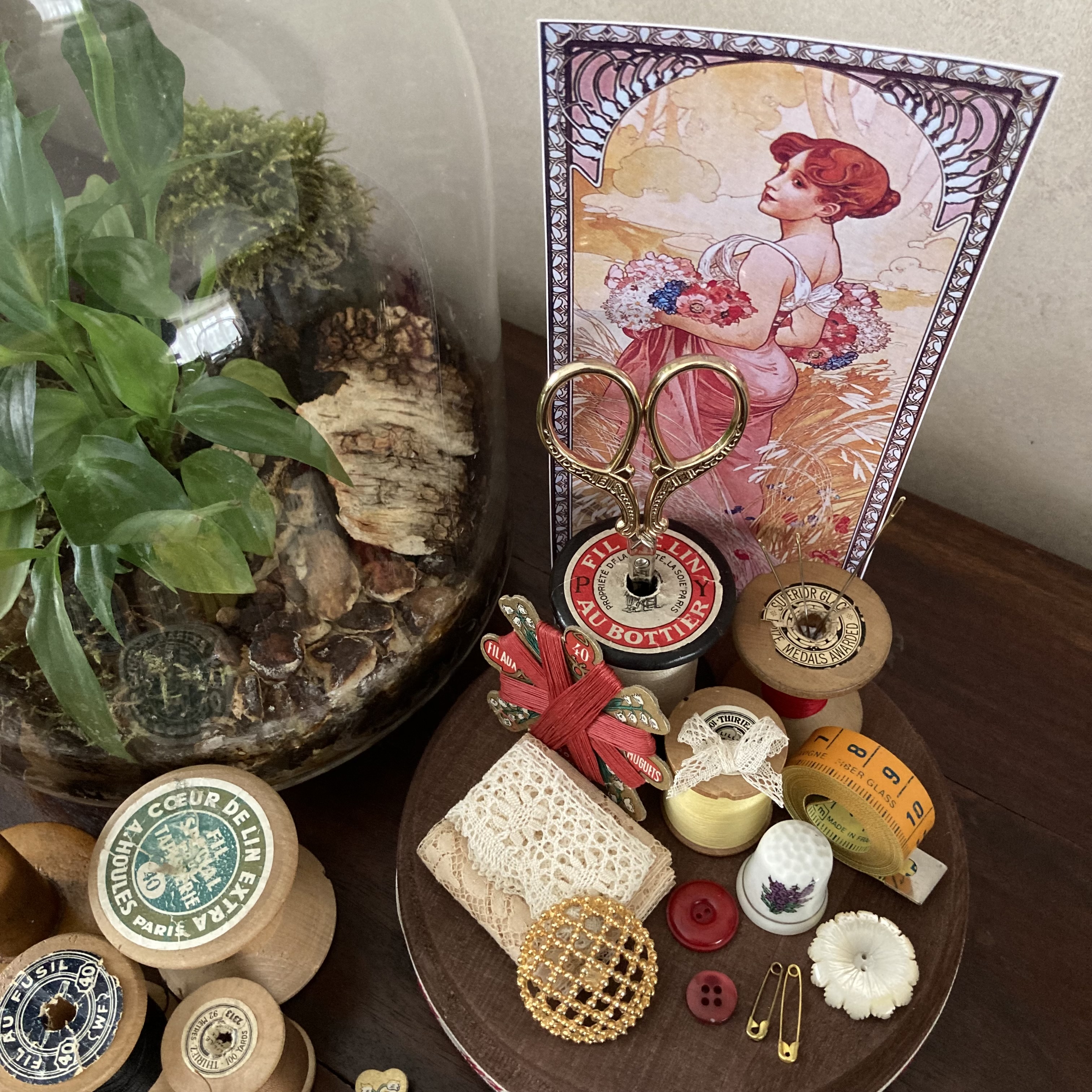 Vitrine 7306abb8b88aaa1fc50aaf75921b9ee9.jpg