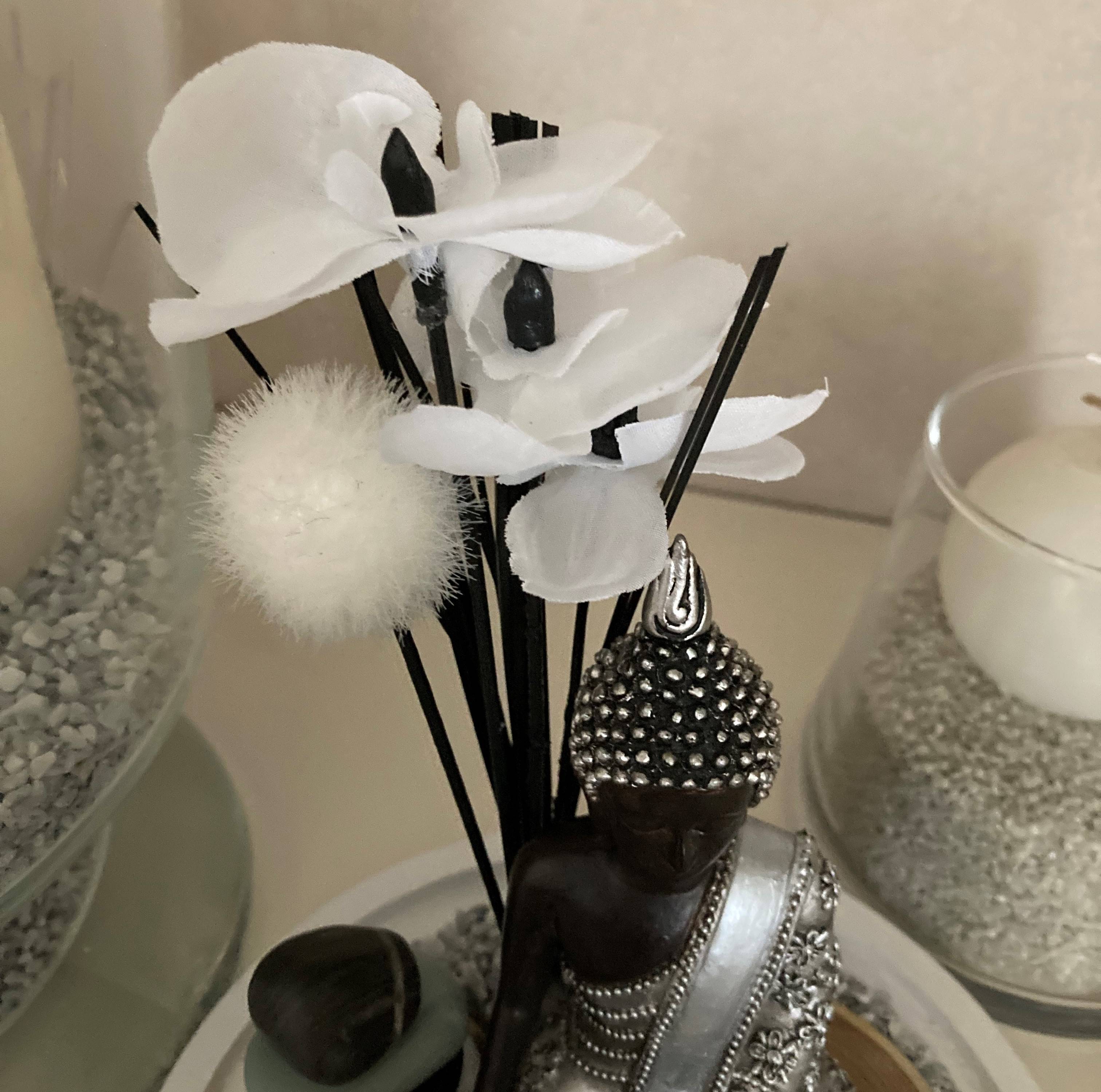 Vitrine 776b2dcd90b3abeb53c399966e5115ba.jpg