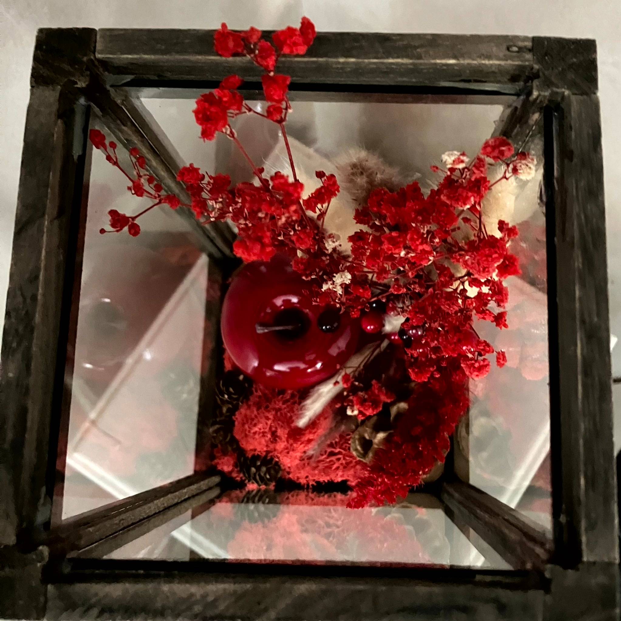 Vitrine 79f6054b9ecc520e0b830b6dd03065a5.jpg