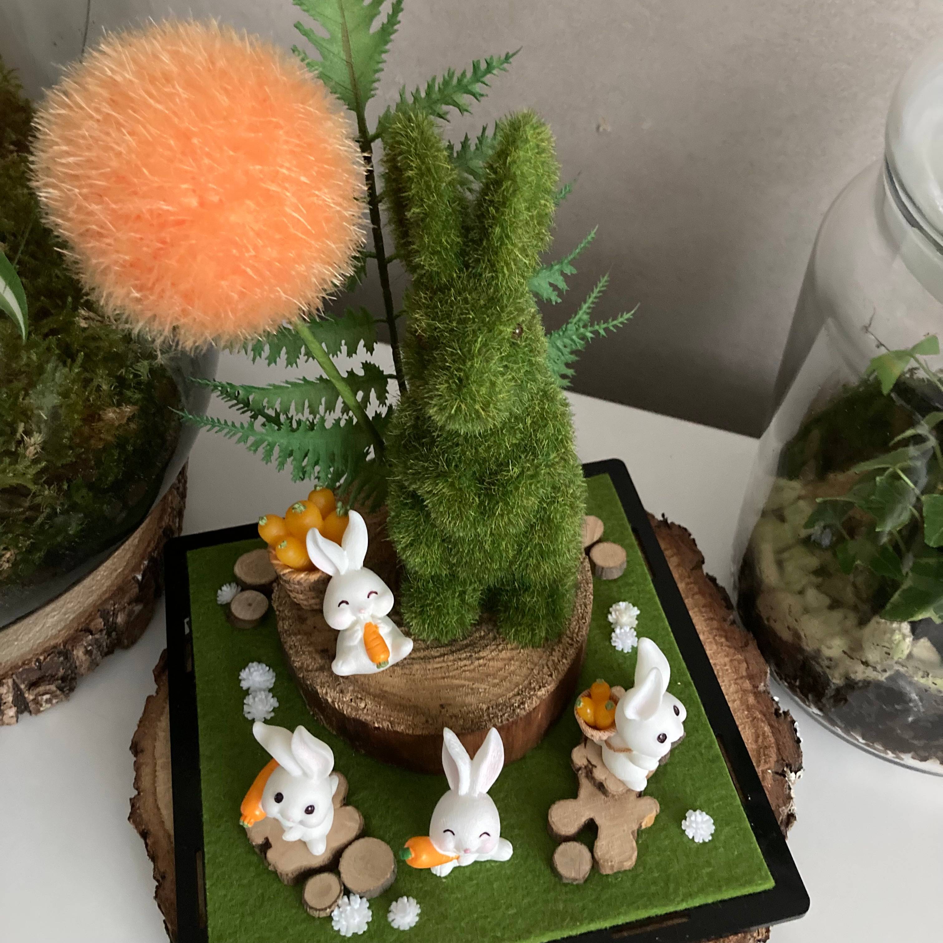 Vitrine 7a32a5ff6b8bbbdbcc40e67415317940.jpg