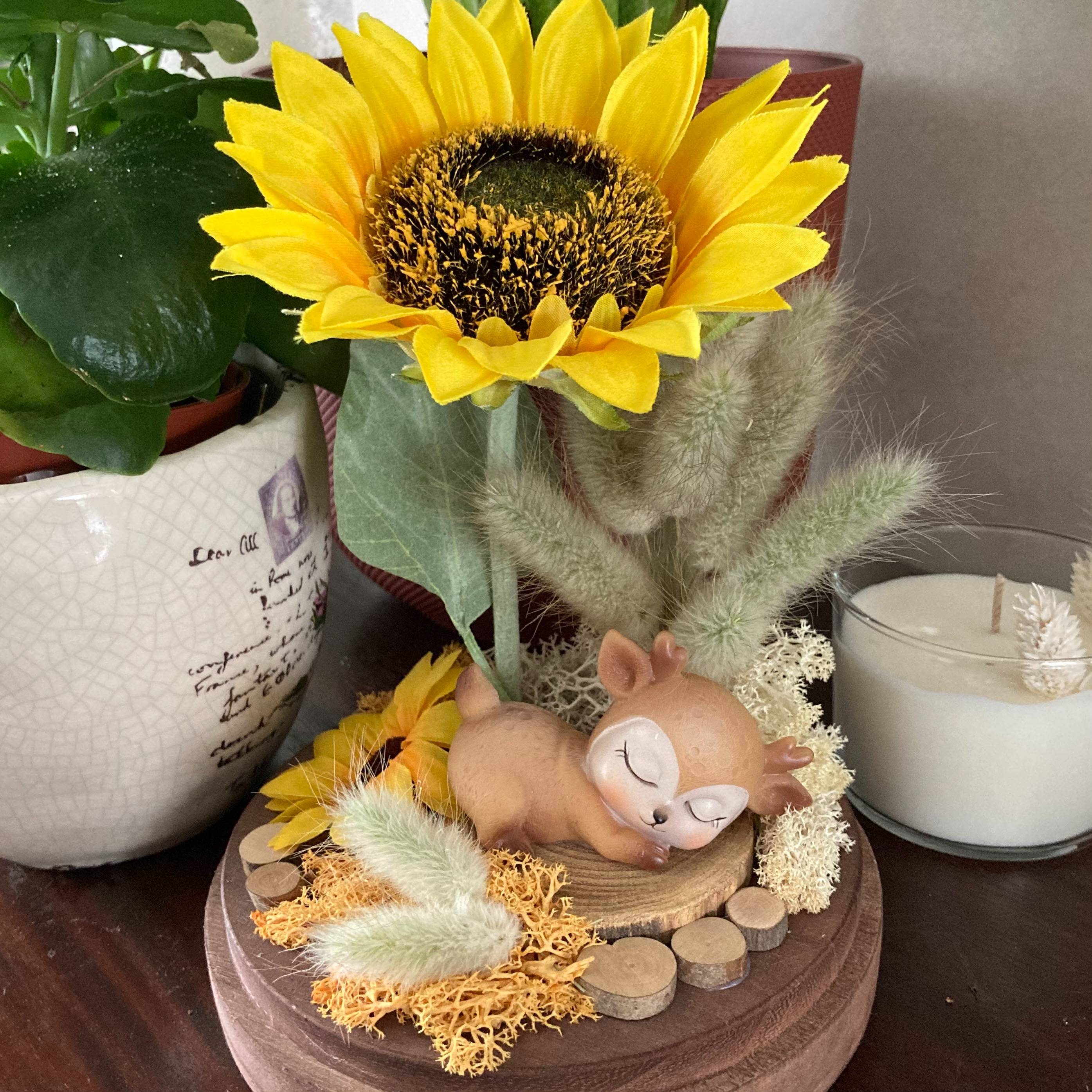 Vitrine 86807964fd086a172a20007515198302.jpg