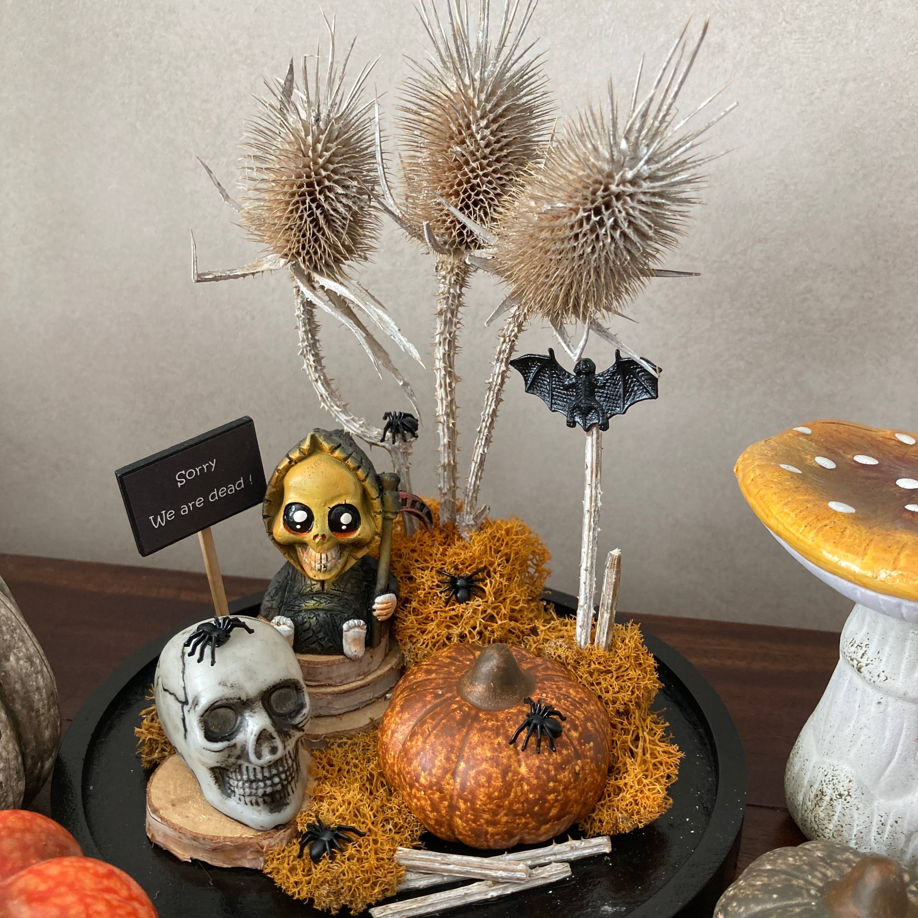 Vitrine 87ccca73db99b49706620d7258cbe55e.jpg