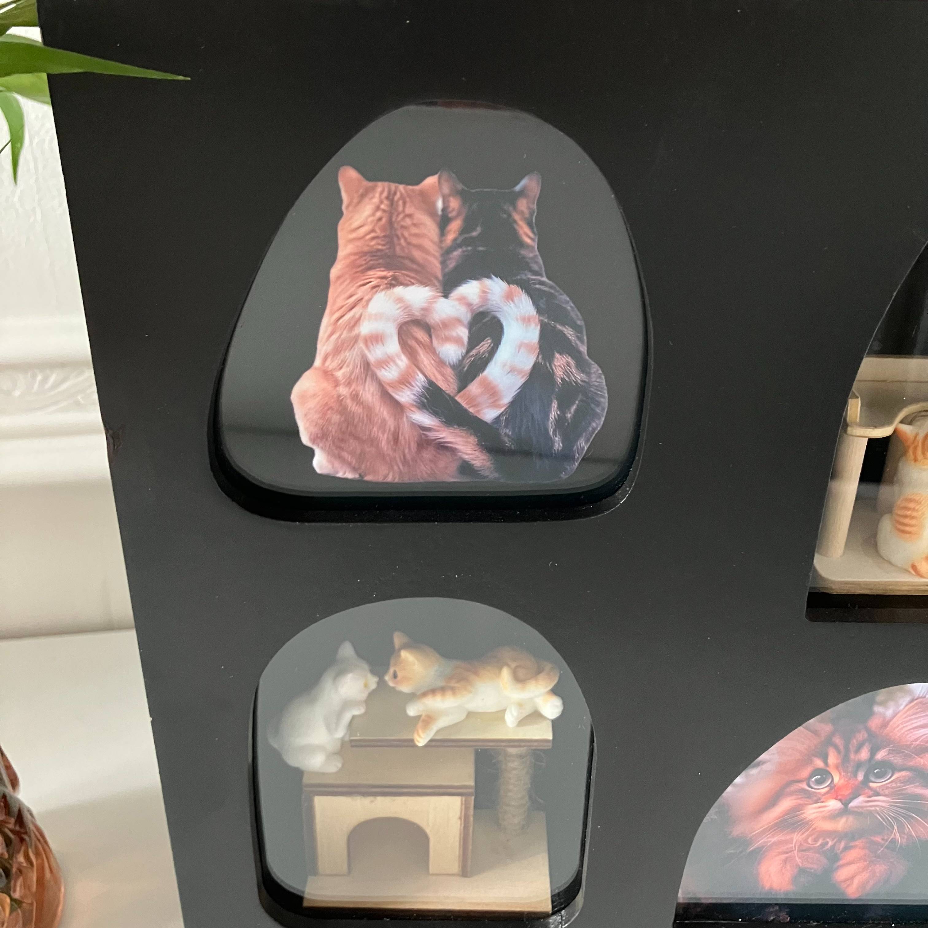 Vitrine 8a632b8a045db3c5dd705b70de081906.jpg