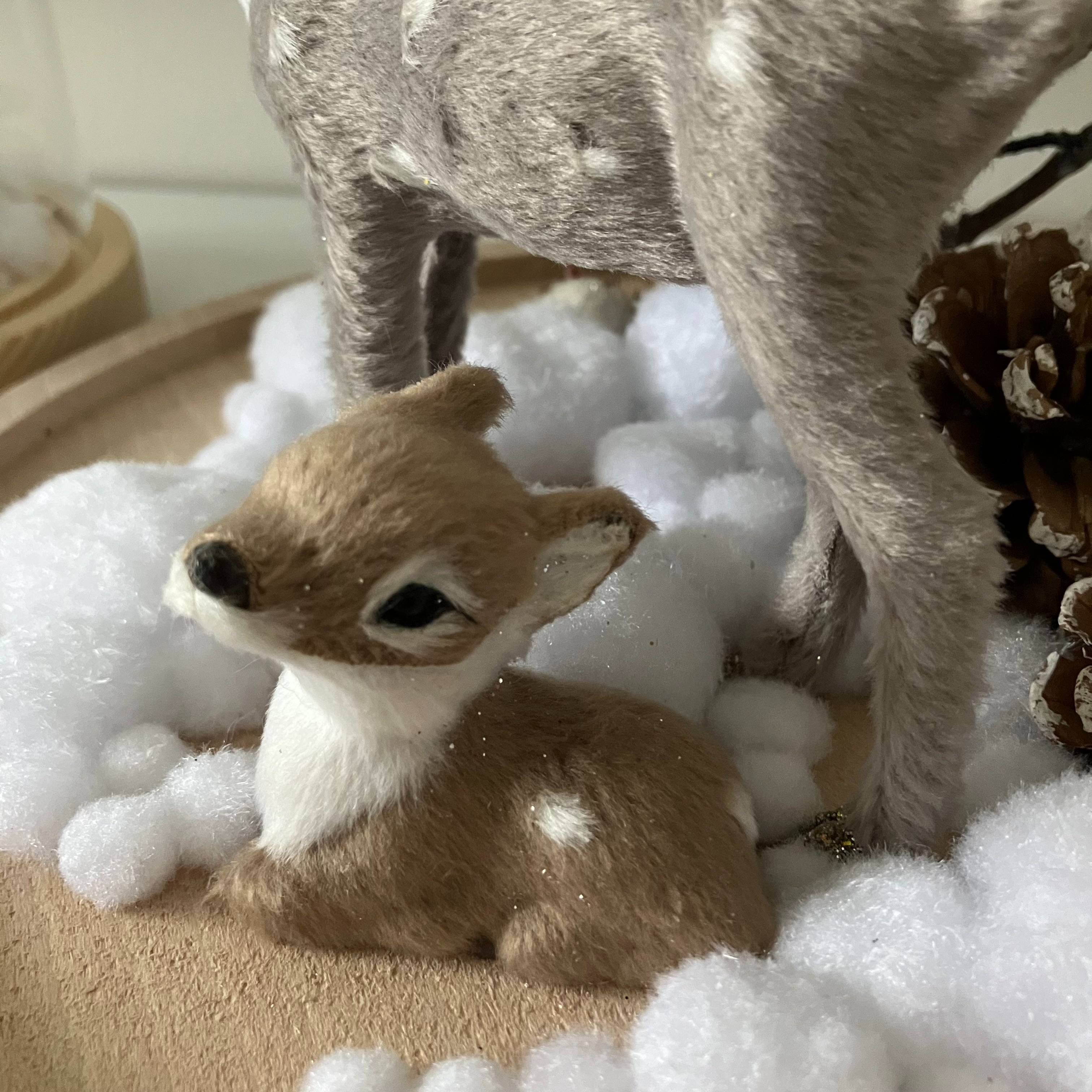 Vitrine 8ac4a9917a95b1f828f630d12c6fd171.jpg