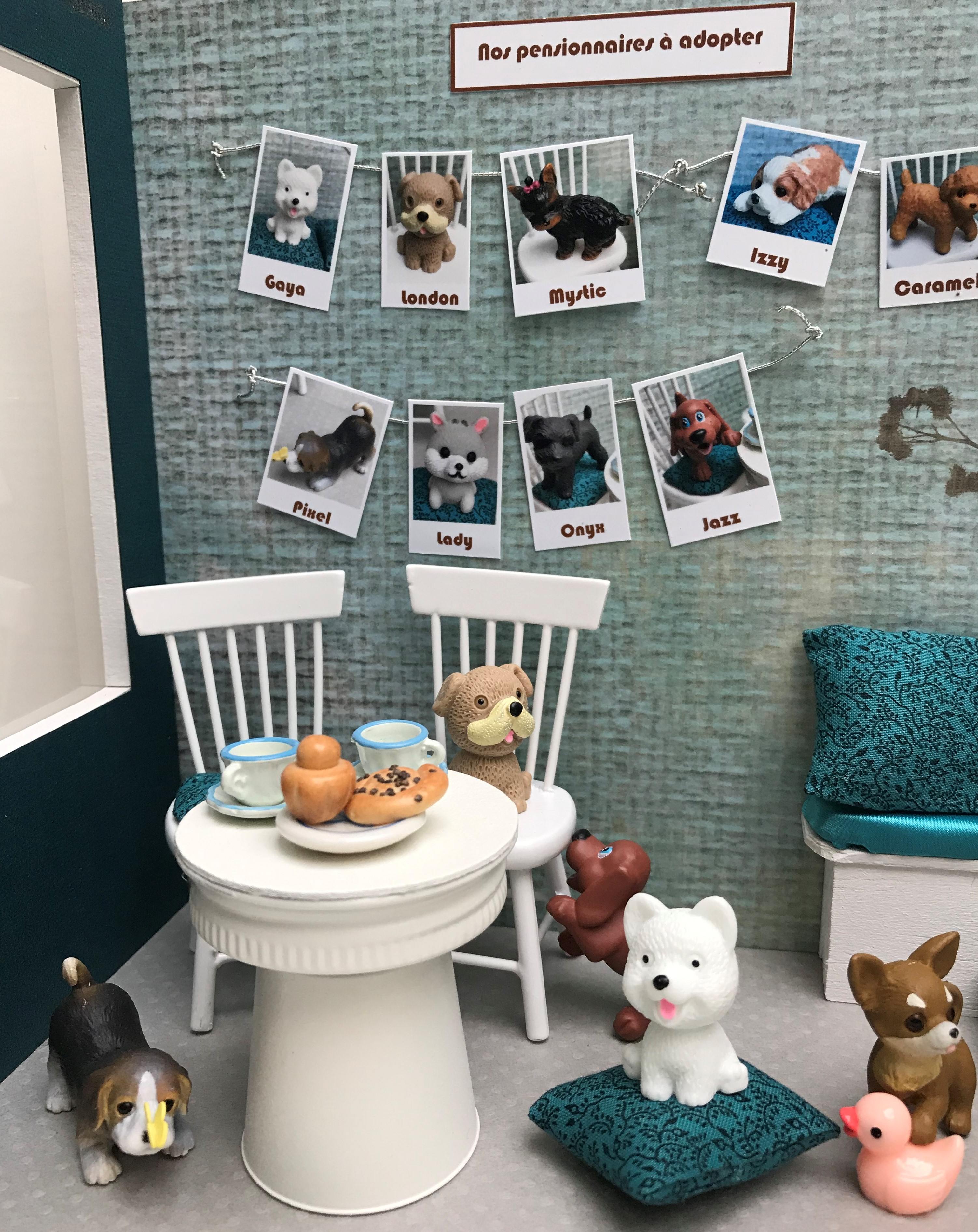 Vitrine 8be1ea691e08c523c969963fd2ff4bf1.jpg