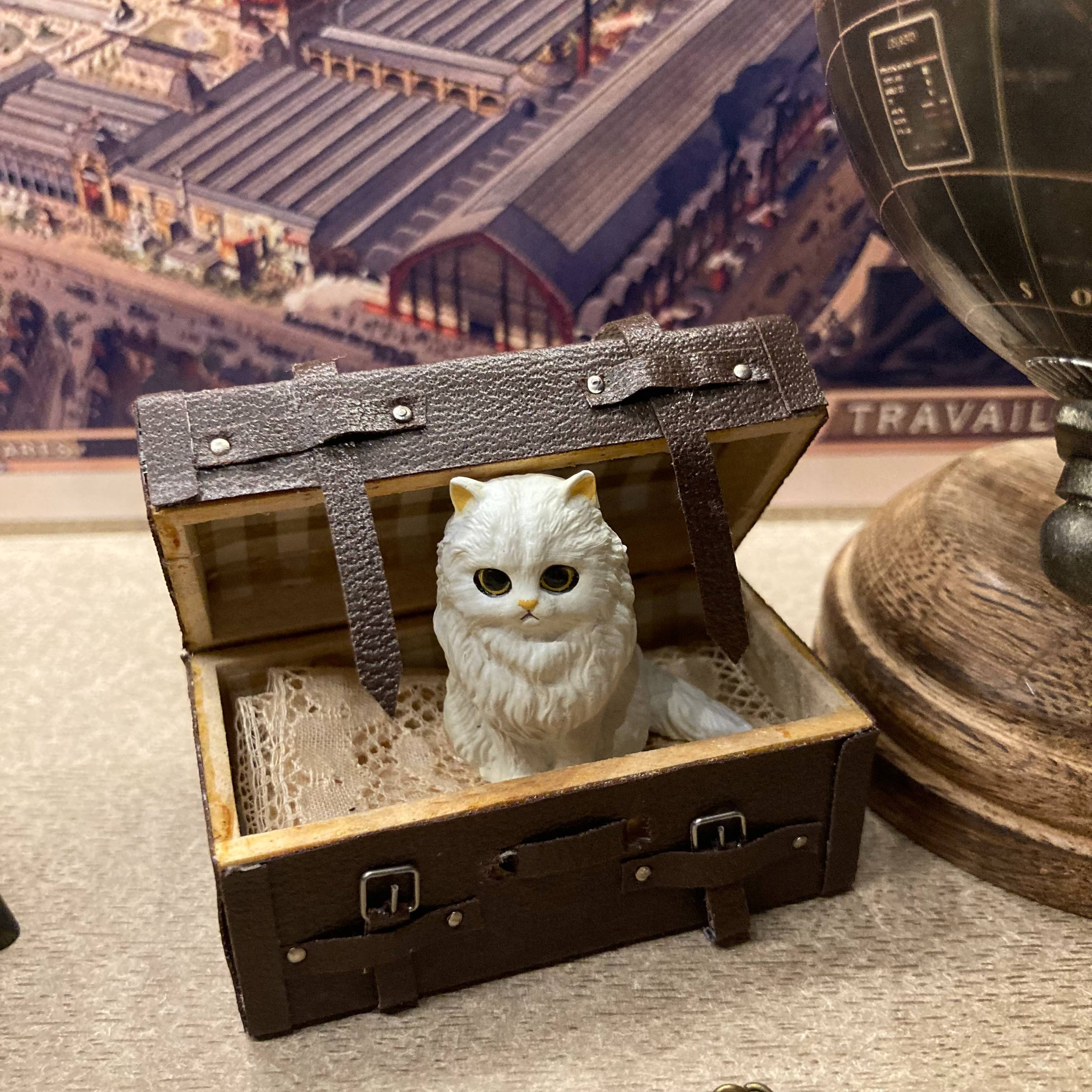 Vitrine 93def043ebb1b61a388b8fe928354039.jpg