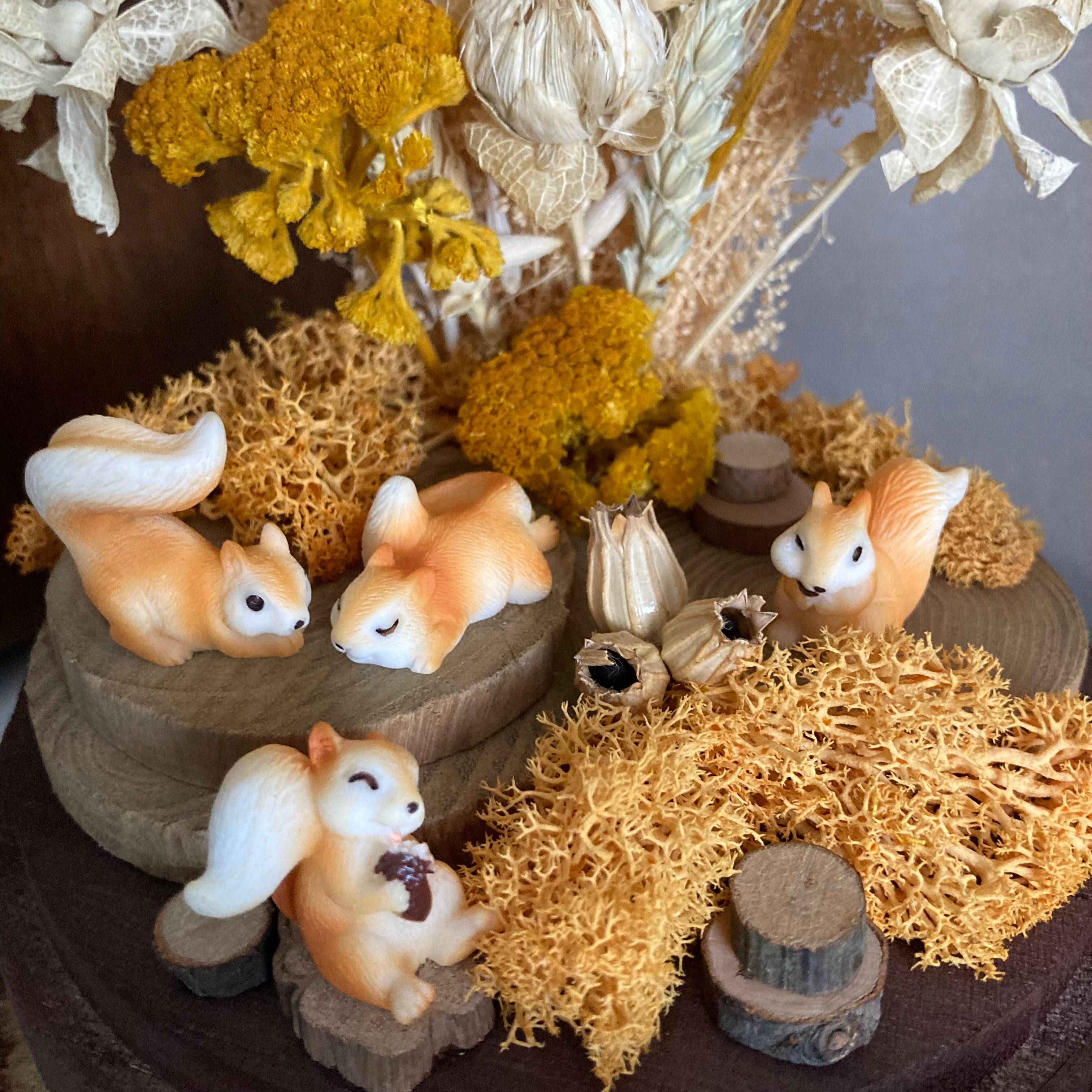 Vitrine 96cfd9a815b5571110d6fefddb9126ca.jpg