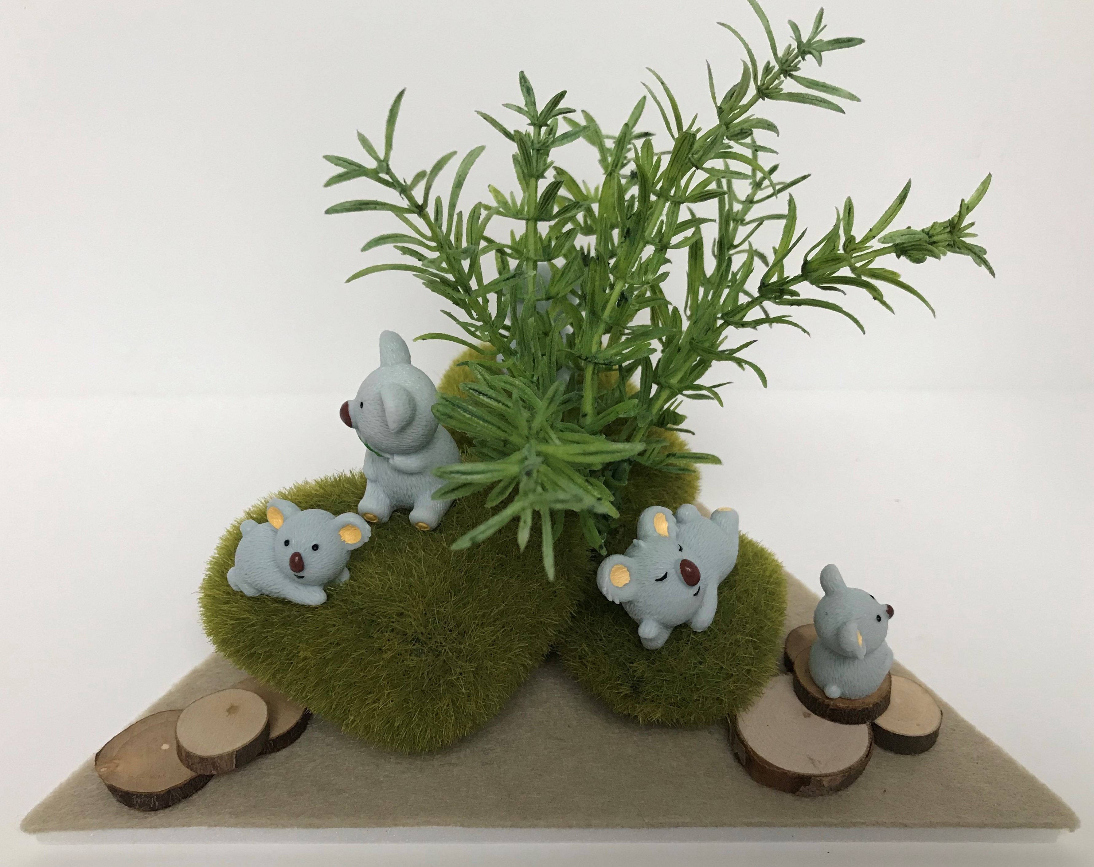 Vitrine 9777d8760468a633343f04af535a704b.jpg