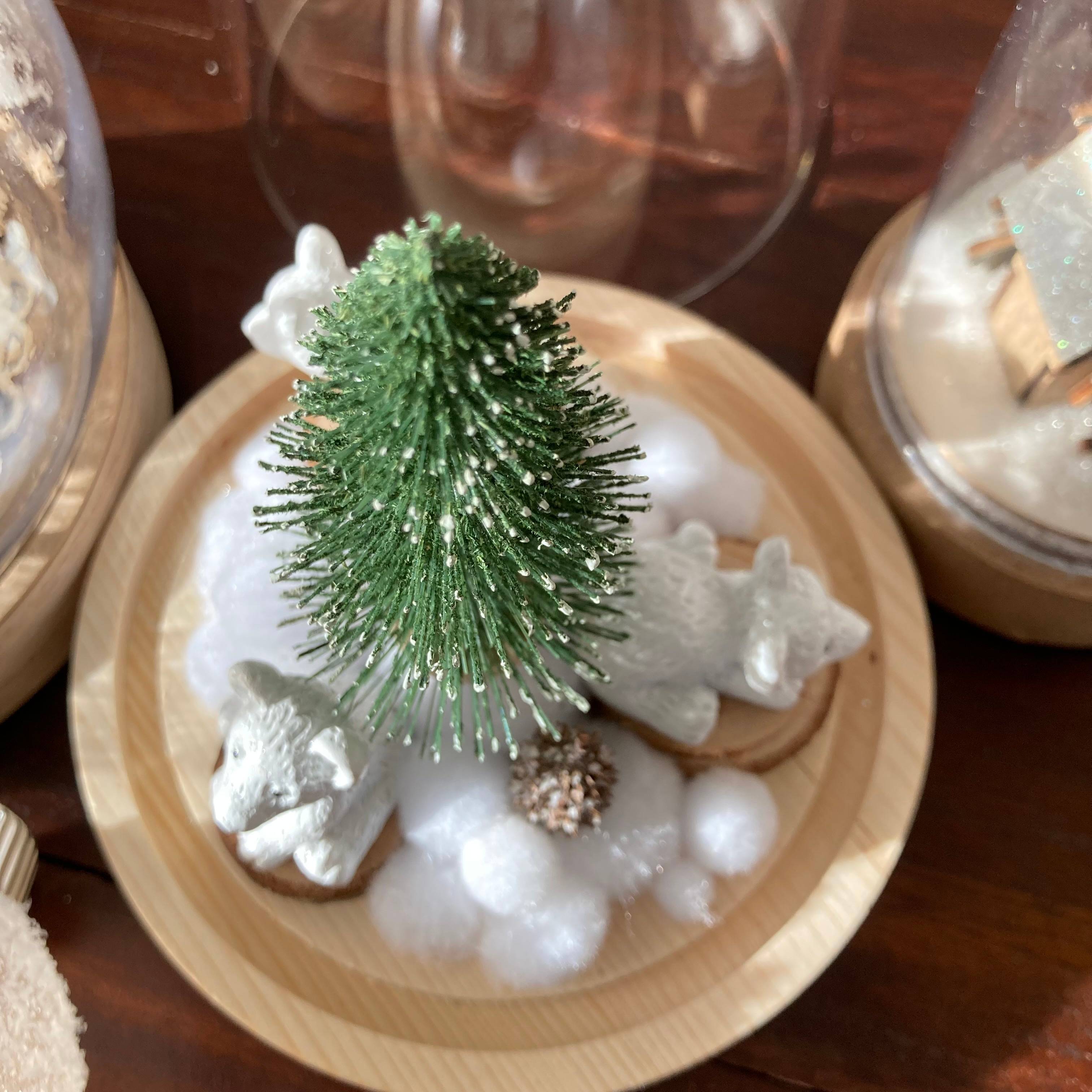 Vitrine 9f7d6a2d4b7c0298ef046663b939159c.jpg