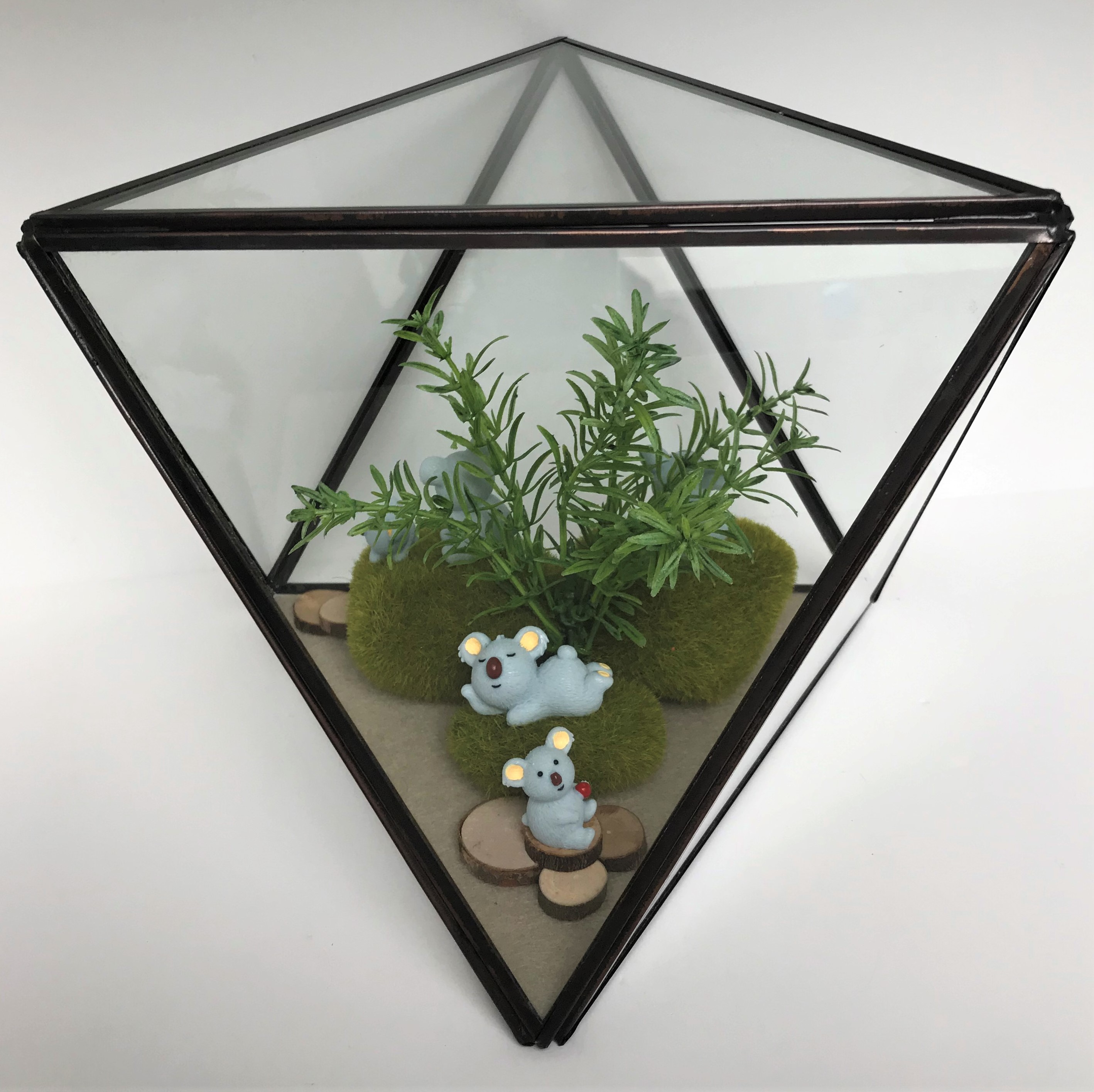 Vitrine a139d9f867f11f5276546aed4be04685.jpg