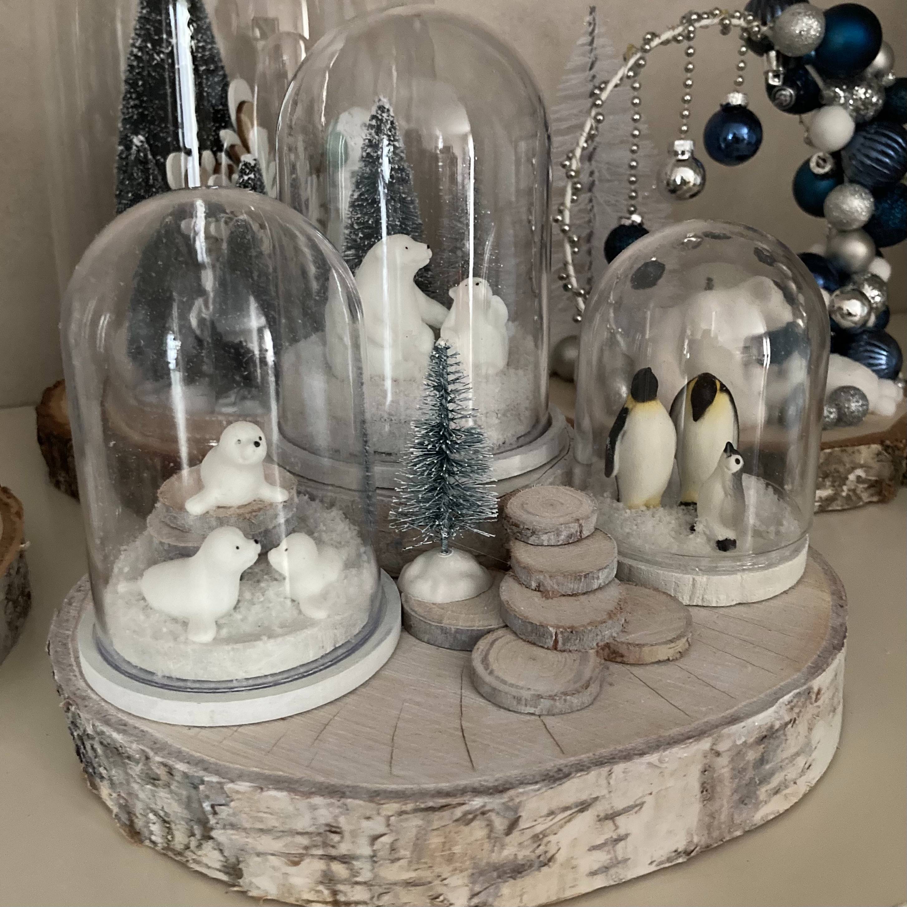 Vitrine a241116827a274c39bc27423247948bc.jpg