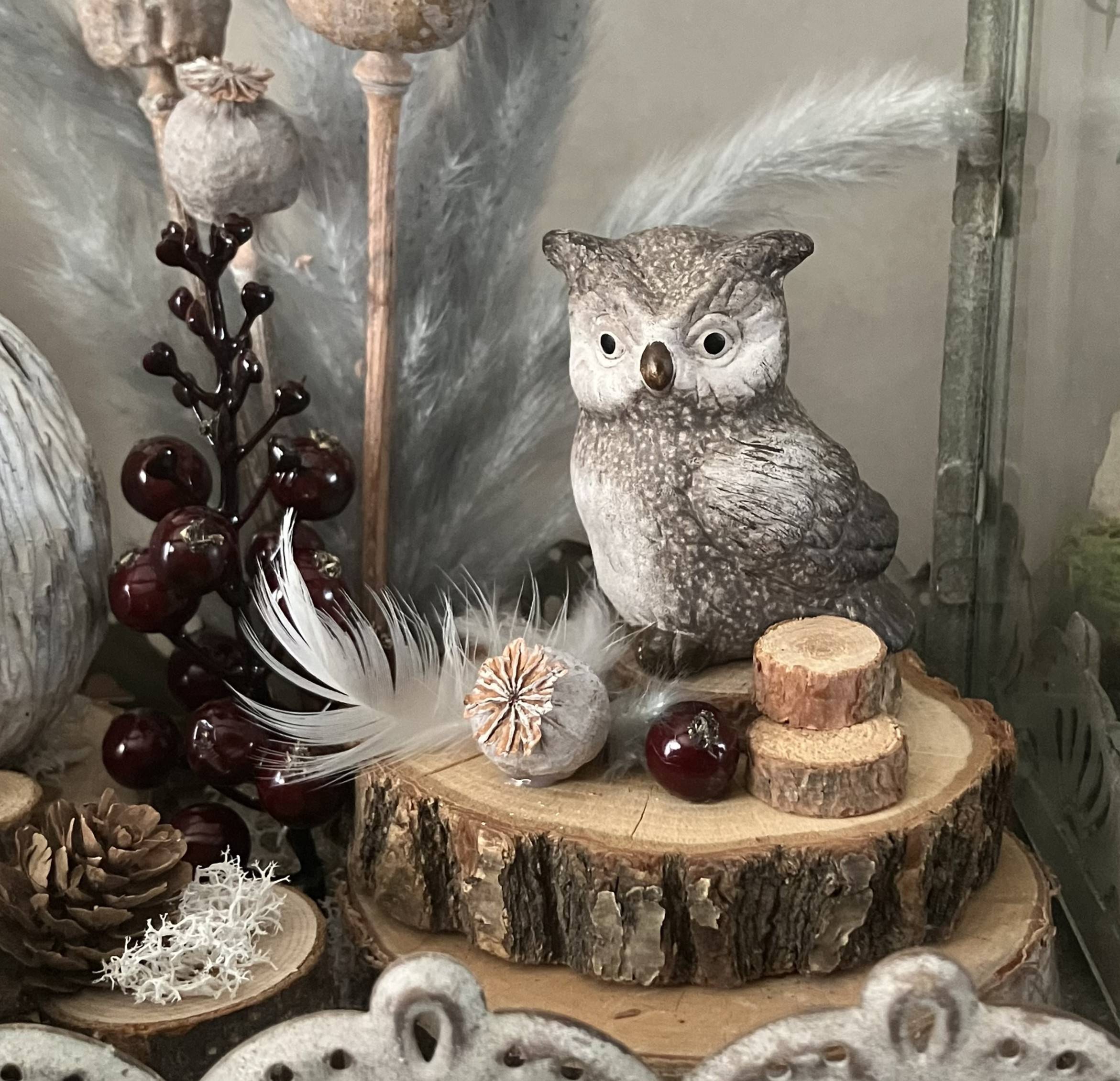 Vitrine a2b2a5e0fa5c9c20134a5db0770c60e9.jpg