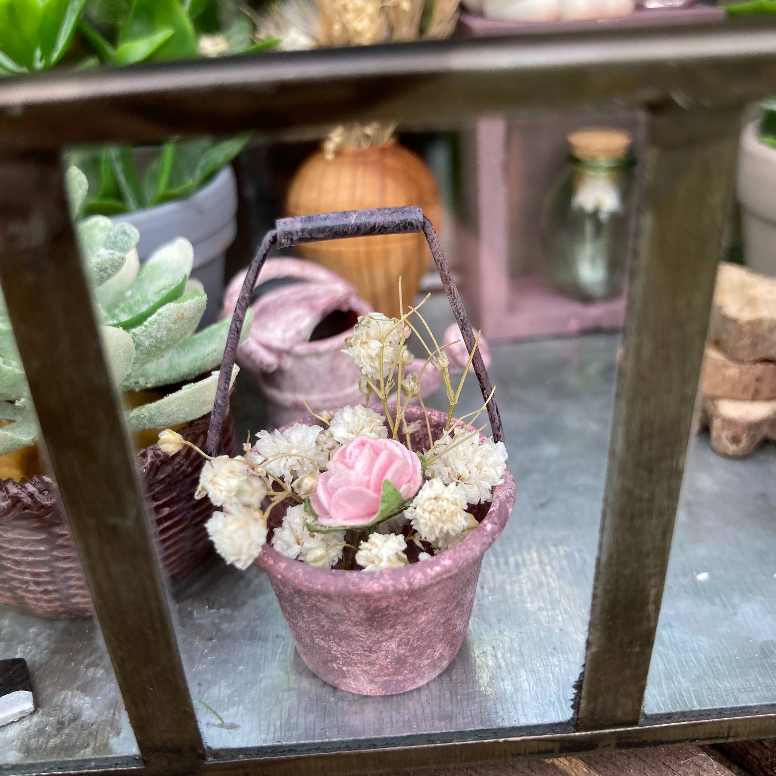 Vitrine b335c1dceea6da9e88cc40703b3fdd0f.jpg