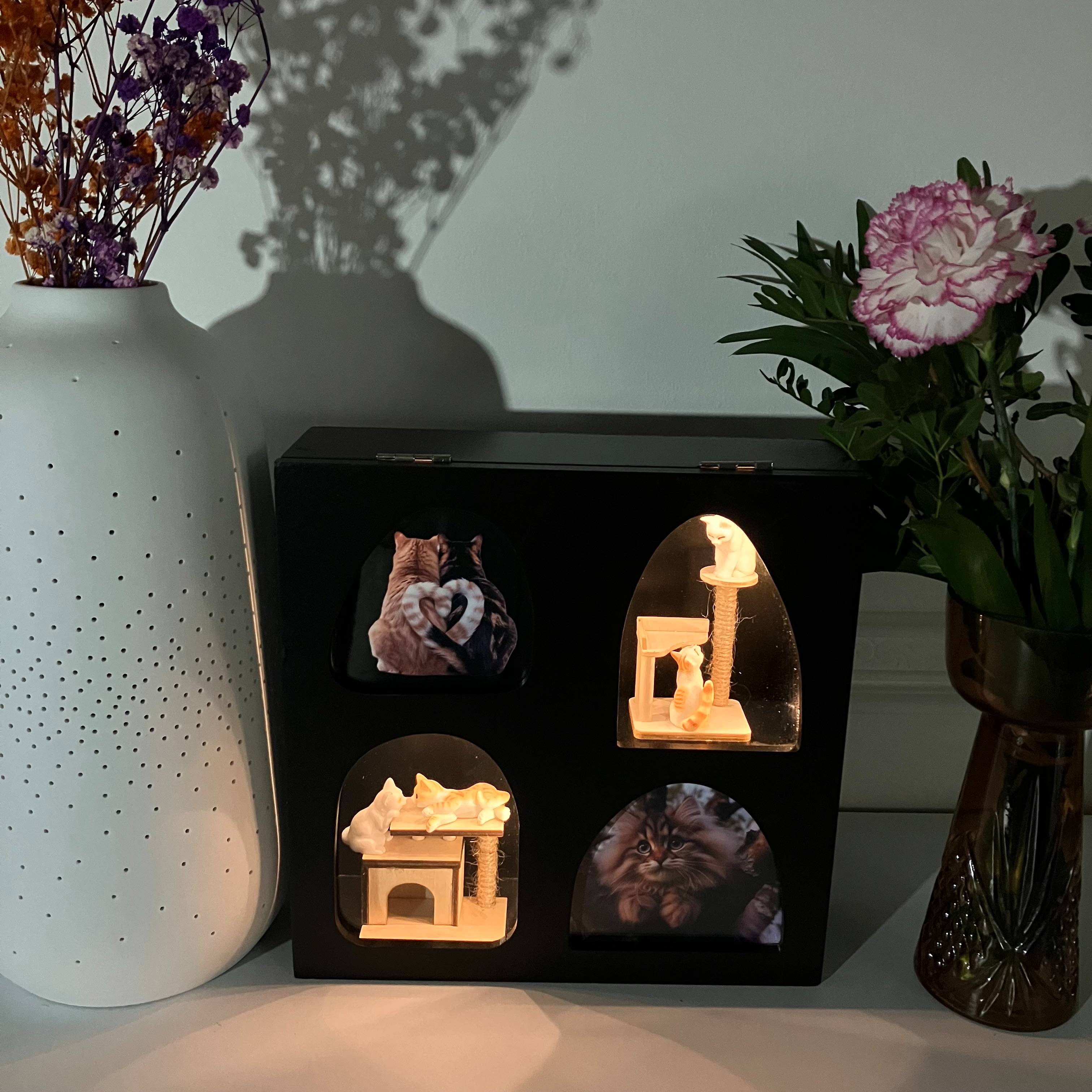 Vitrine b4501c508a77d4d269c0443d4fab8b74.jpg