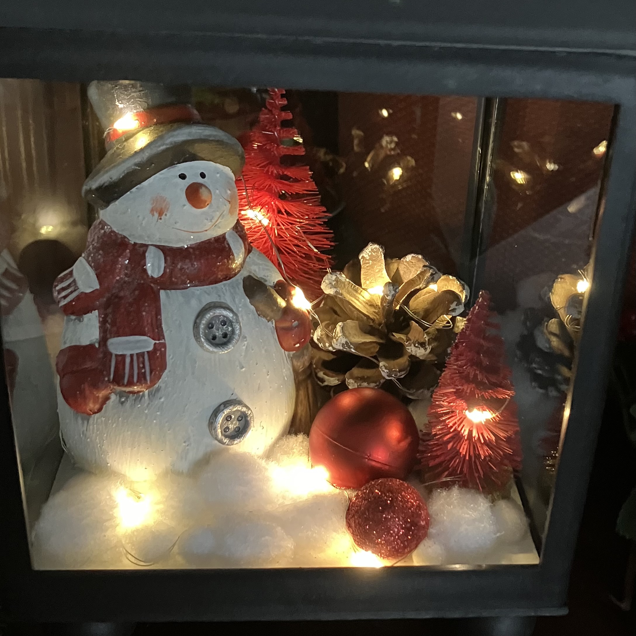 Vitrine b4cc184dd846d335cde7a0e2767f2e7f.jpg