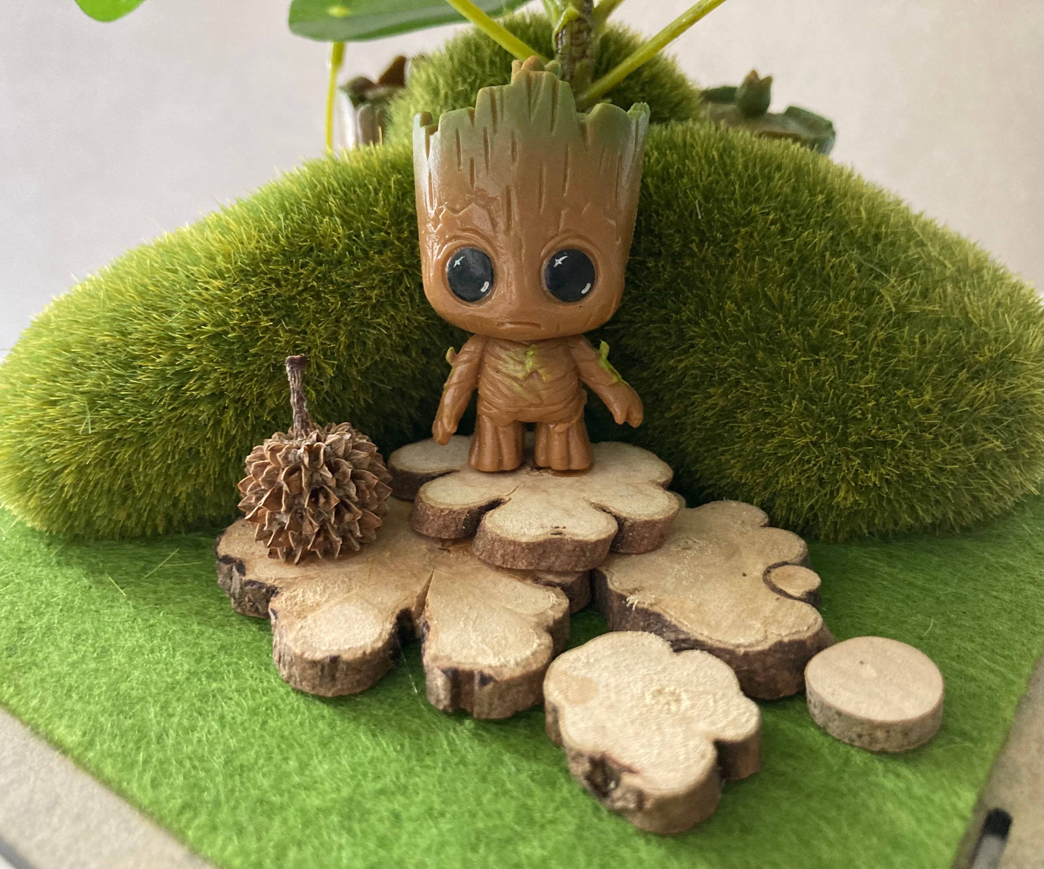 Vitrine ba476a80bc35a527ceca0cab17e449ab.jpg