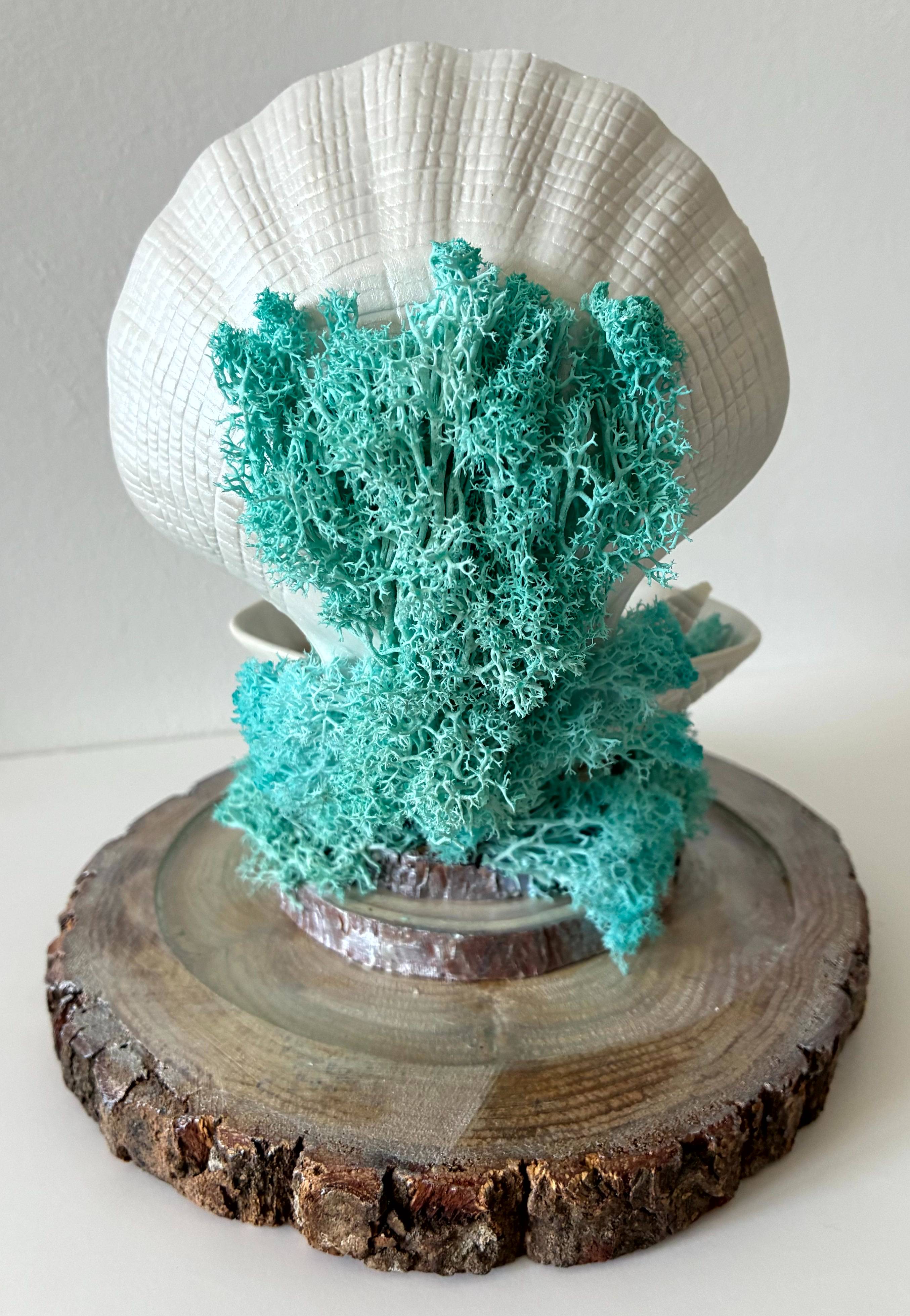 Vitrine bd739cc1f0c4578a4fb1e9af81b768df.jpg