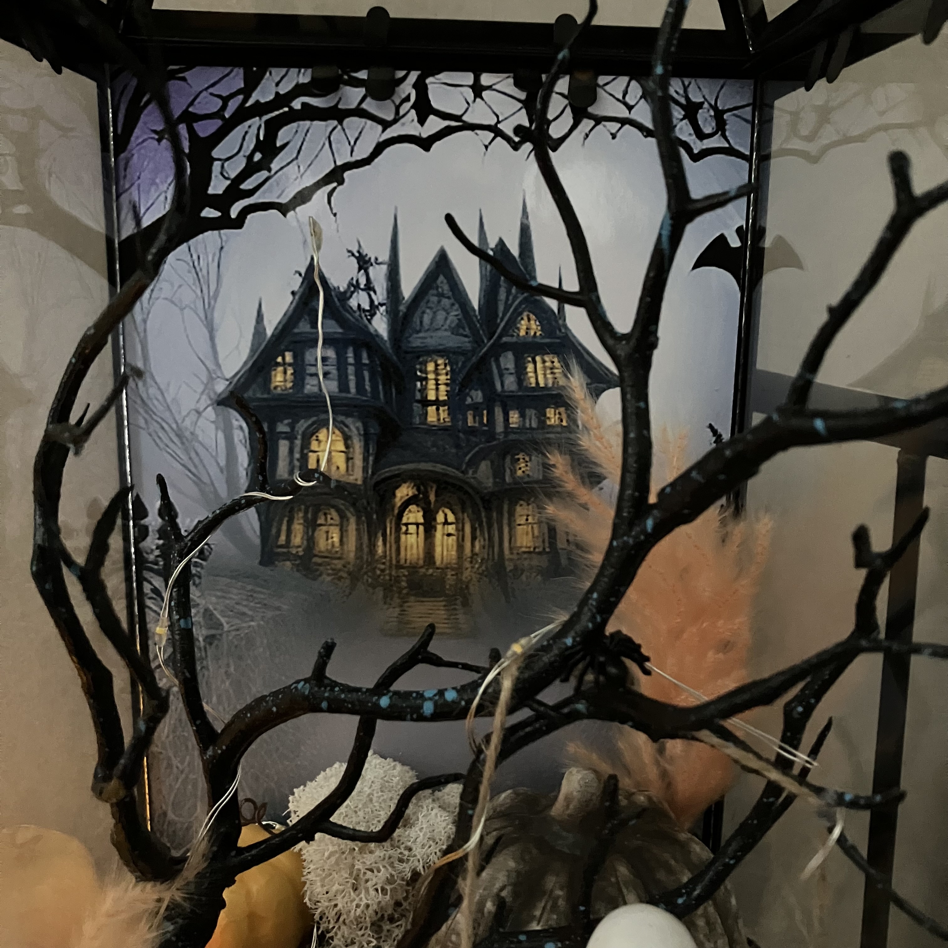 Vitrine beb55a86fb7d634971d2f3b870f91f1d.jpg