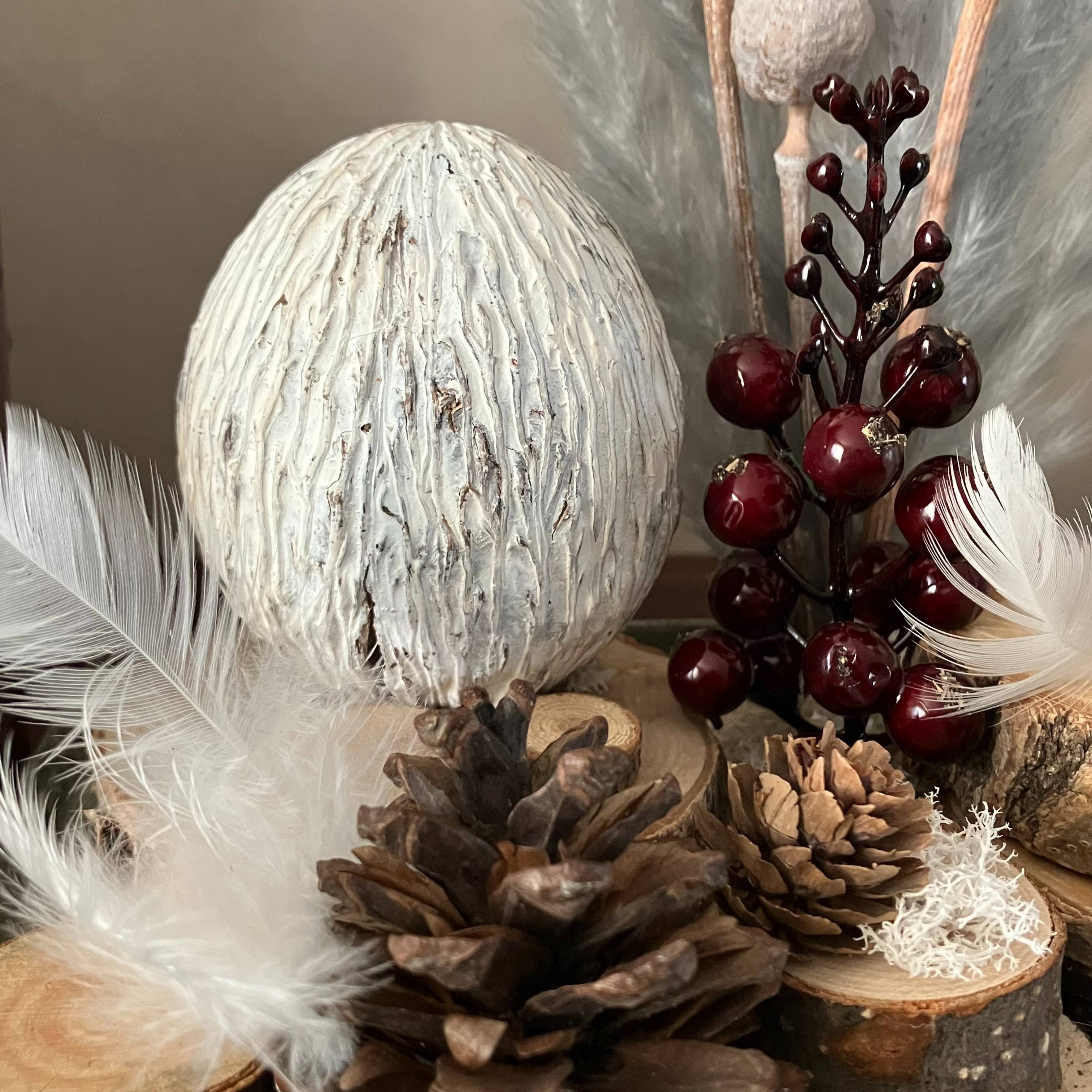 Vitrine c6b477ff566b1b6a0c7727f1c1703bb9.jpg