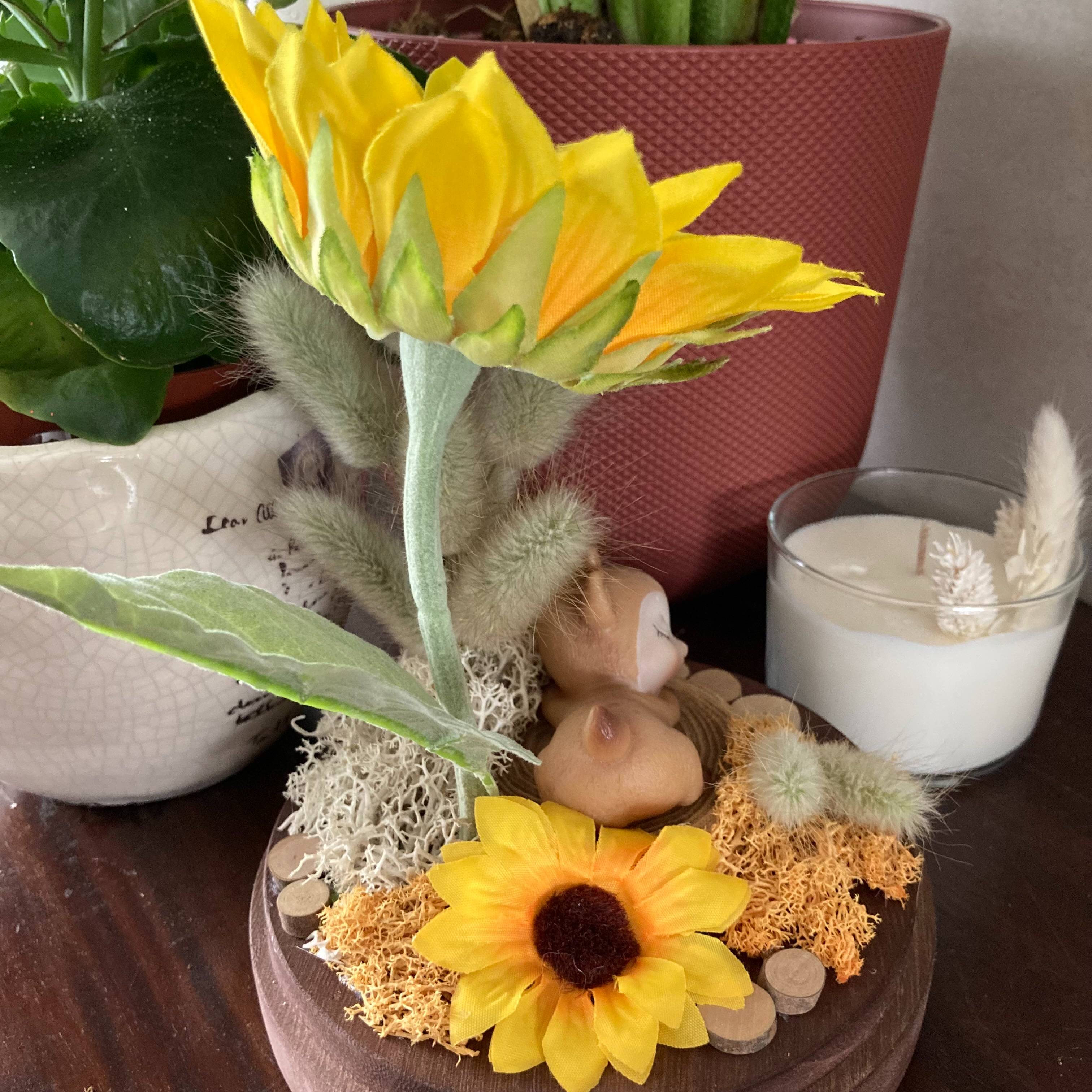 Vitrine cd3827613001774c5f522b665e0012b0.jpg