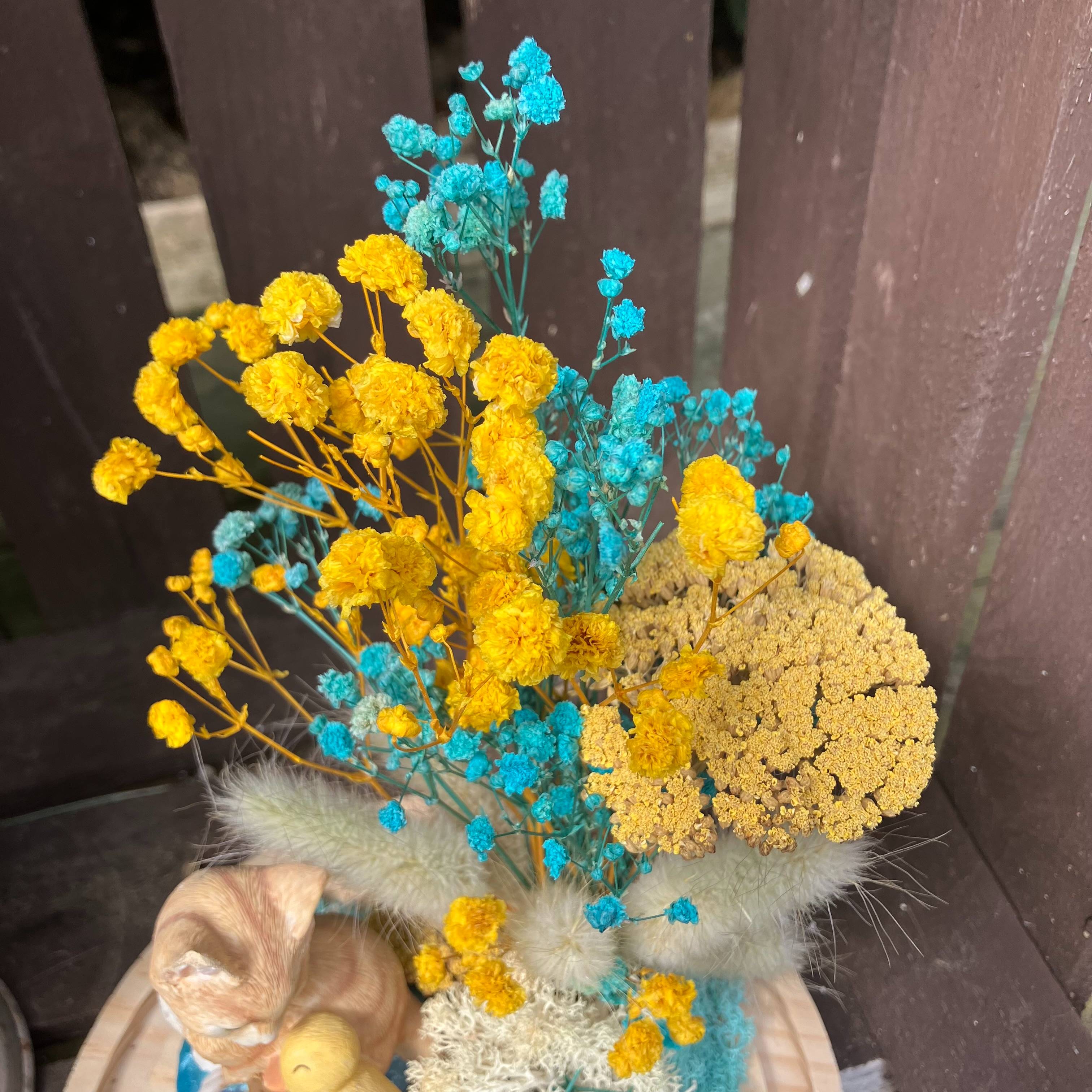 Vitrine cd6346153b114ddd42b08c02f91ac00e.jpg