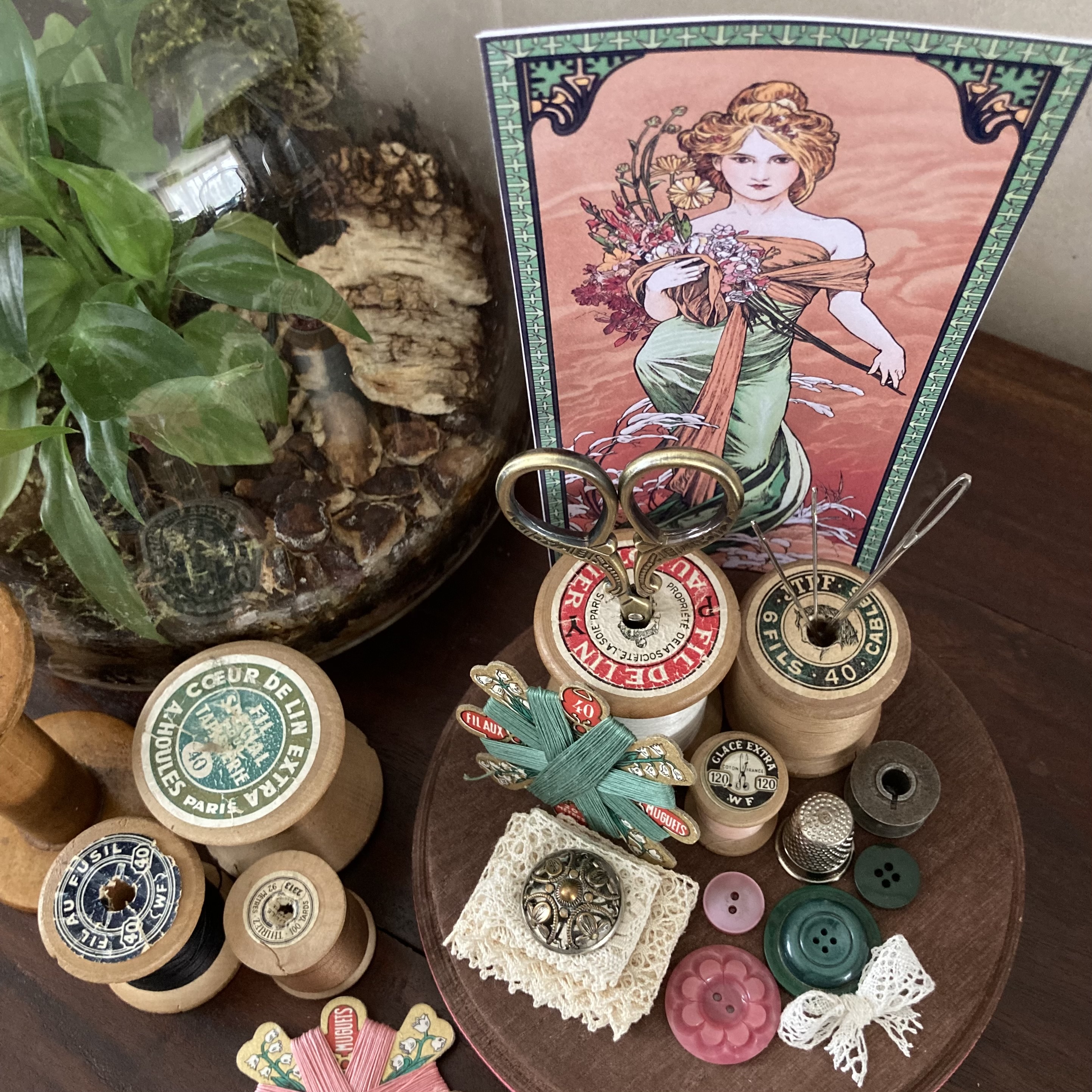 Vitrine ce65ce353103a88c908ecb0369f35581.jpg