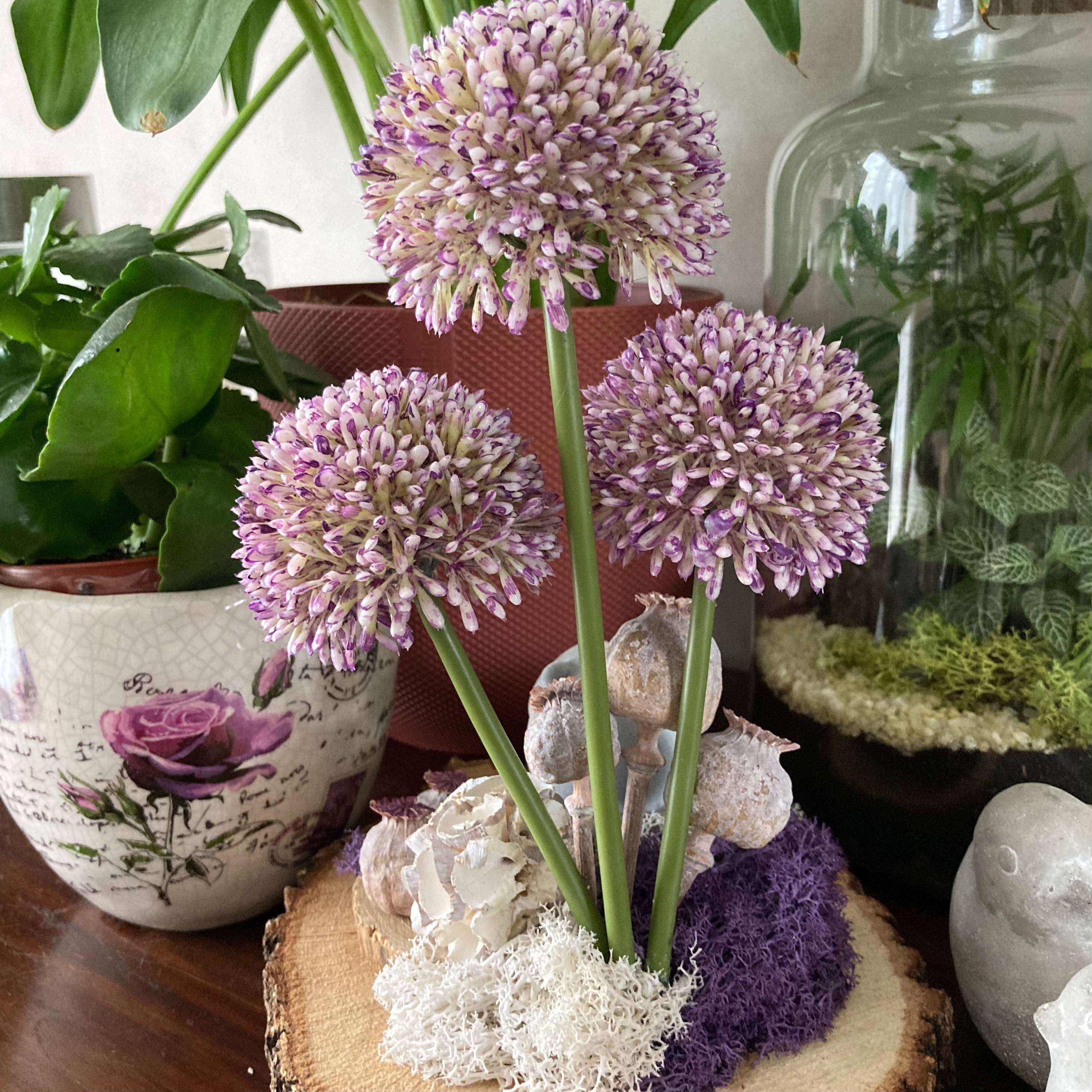 Vitrine cf33eb6e54975813484097db5889a39c.jpg