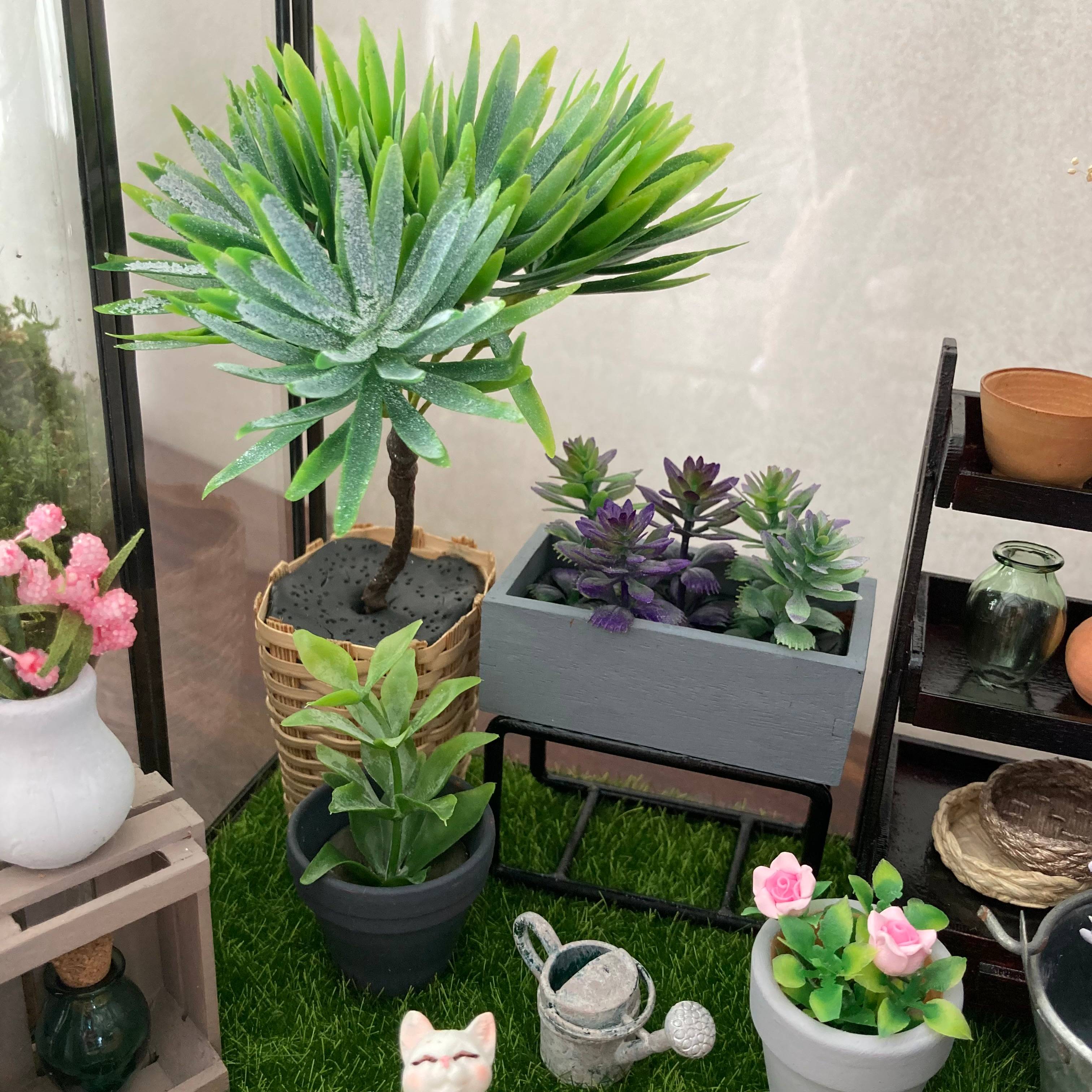 Vitrine d0844972349a2ffeb51c78e697f98858.jpg