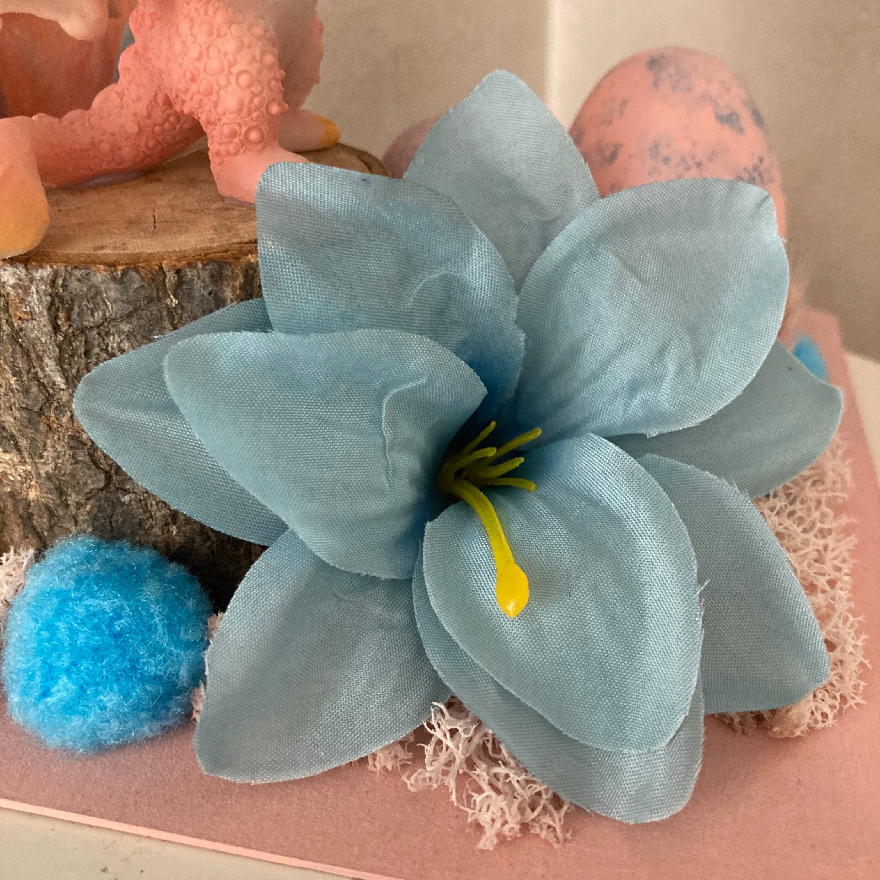 Vitrine d2834f9bf76a3438b984e19c41de3609.jpg