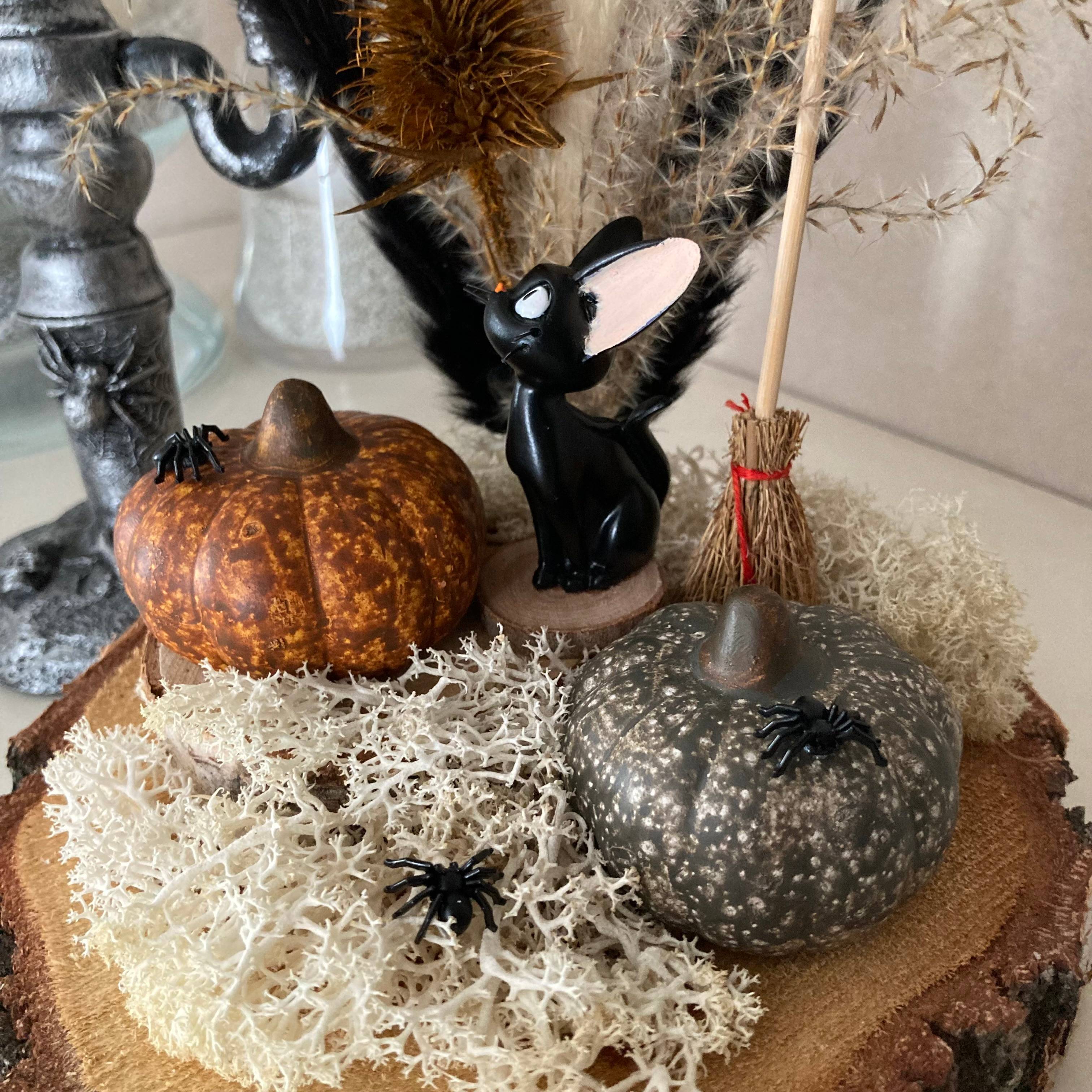 Vitrine d38401aba3cb194308a1e069a3a82953.jpg