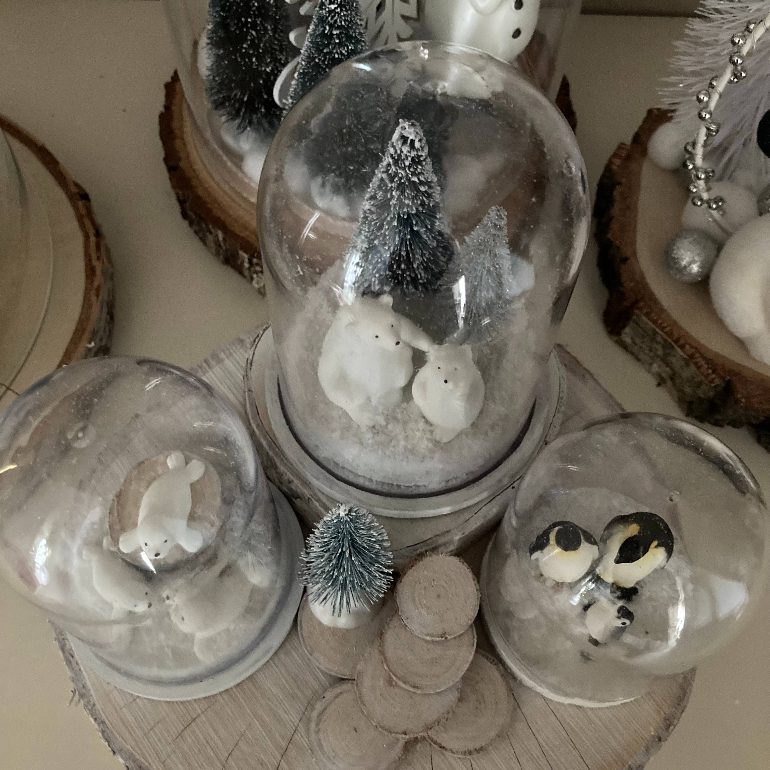 Vitrine d4eaac8f7bb5c993da1dc3f921bfe573.jpg