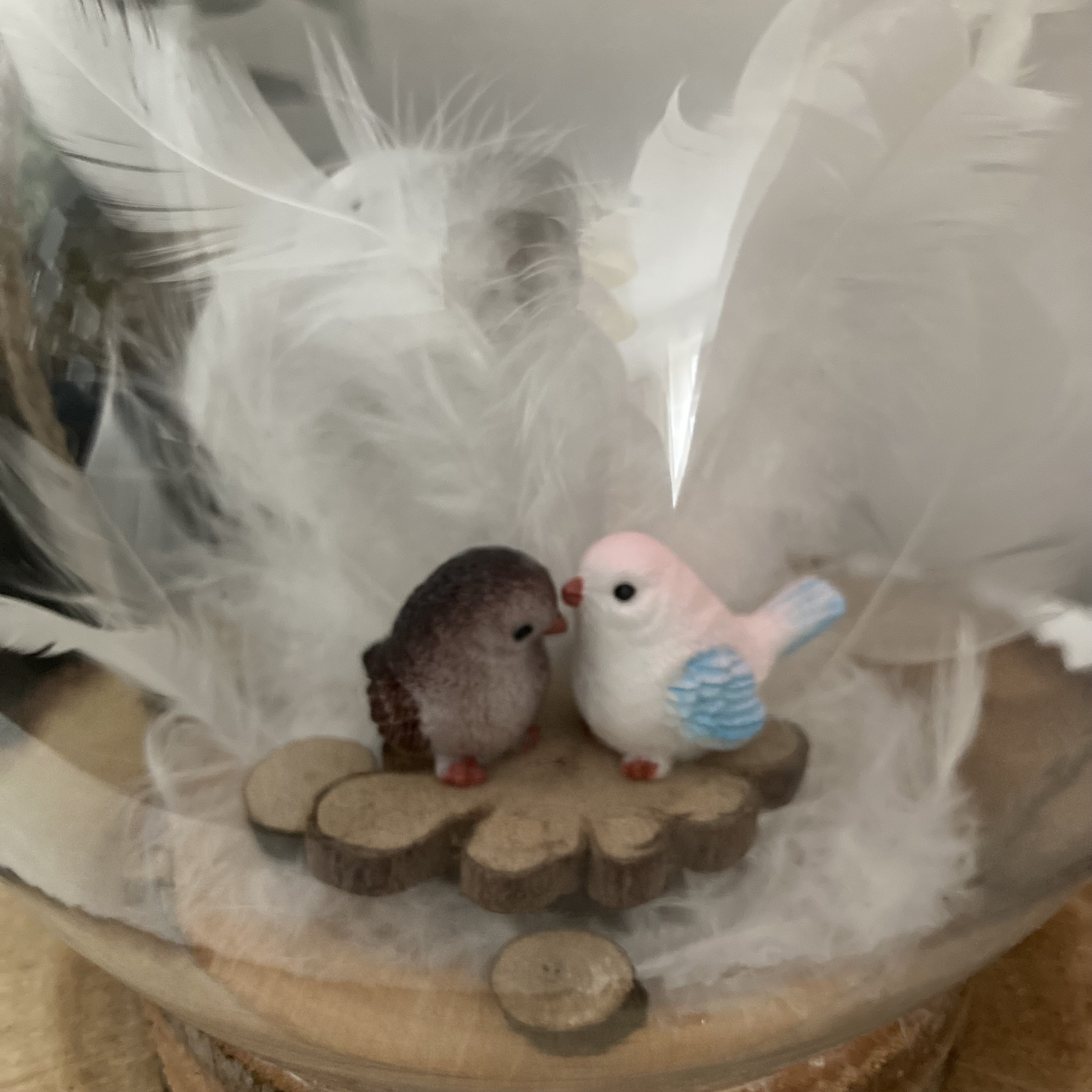 Vitrine d8289b4a0832580dc70e17b5f6bdee0a.jpg