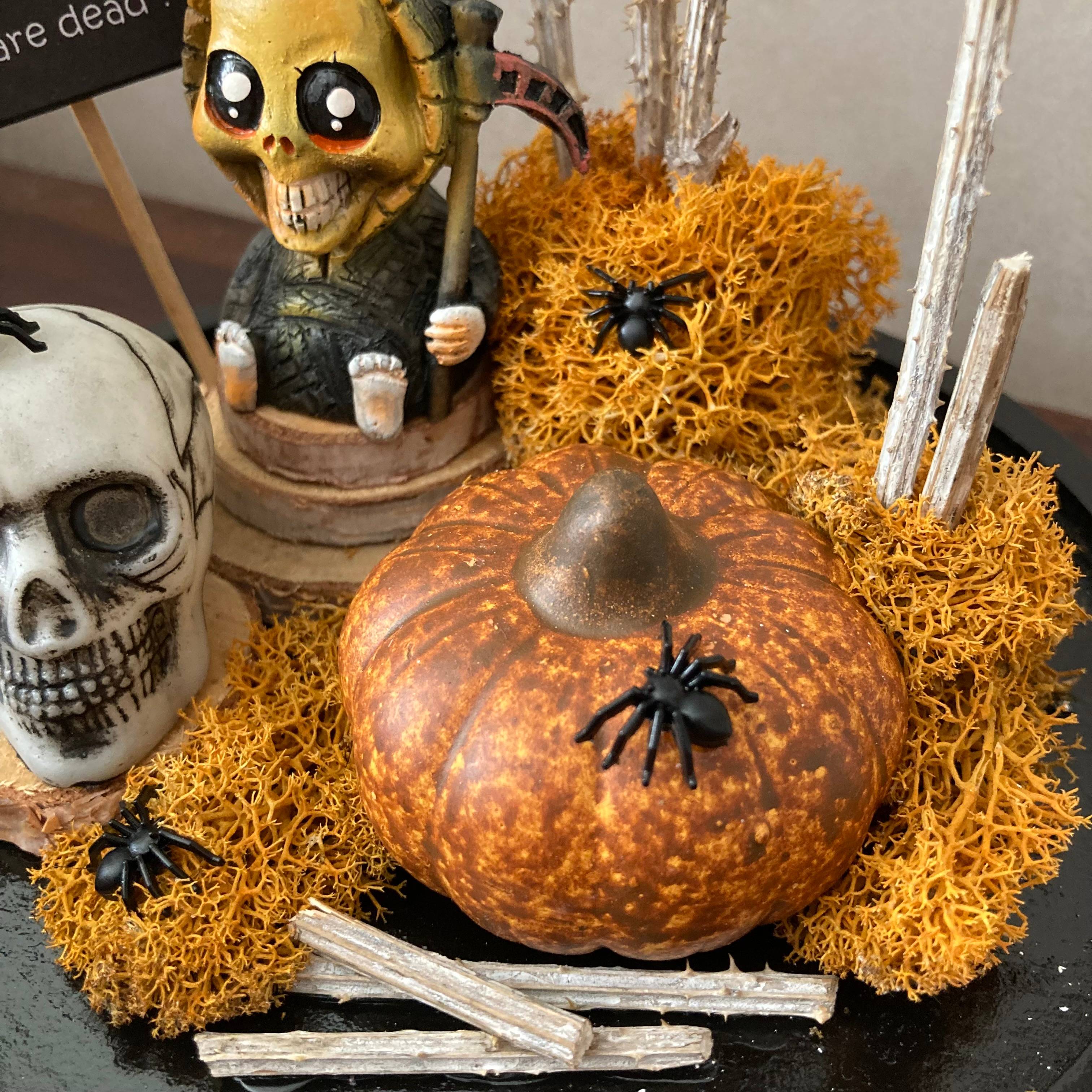 Vitrine daac7ce020d944b850db65e03bdf411e.jpg