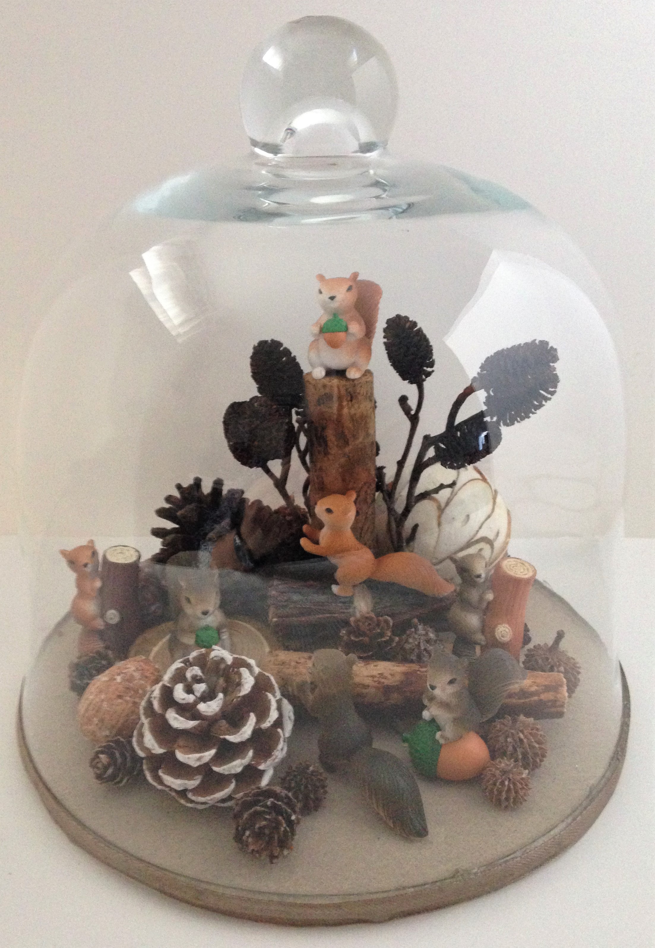 Vitrine e0e70a218edb1f428b95ff009528d964.jpg