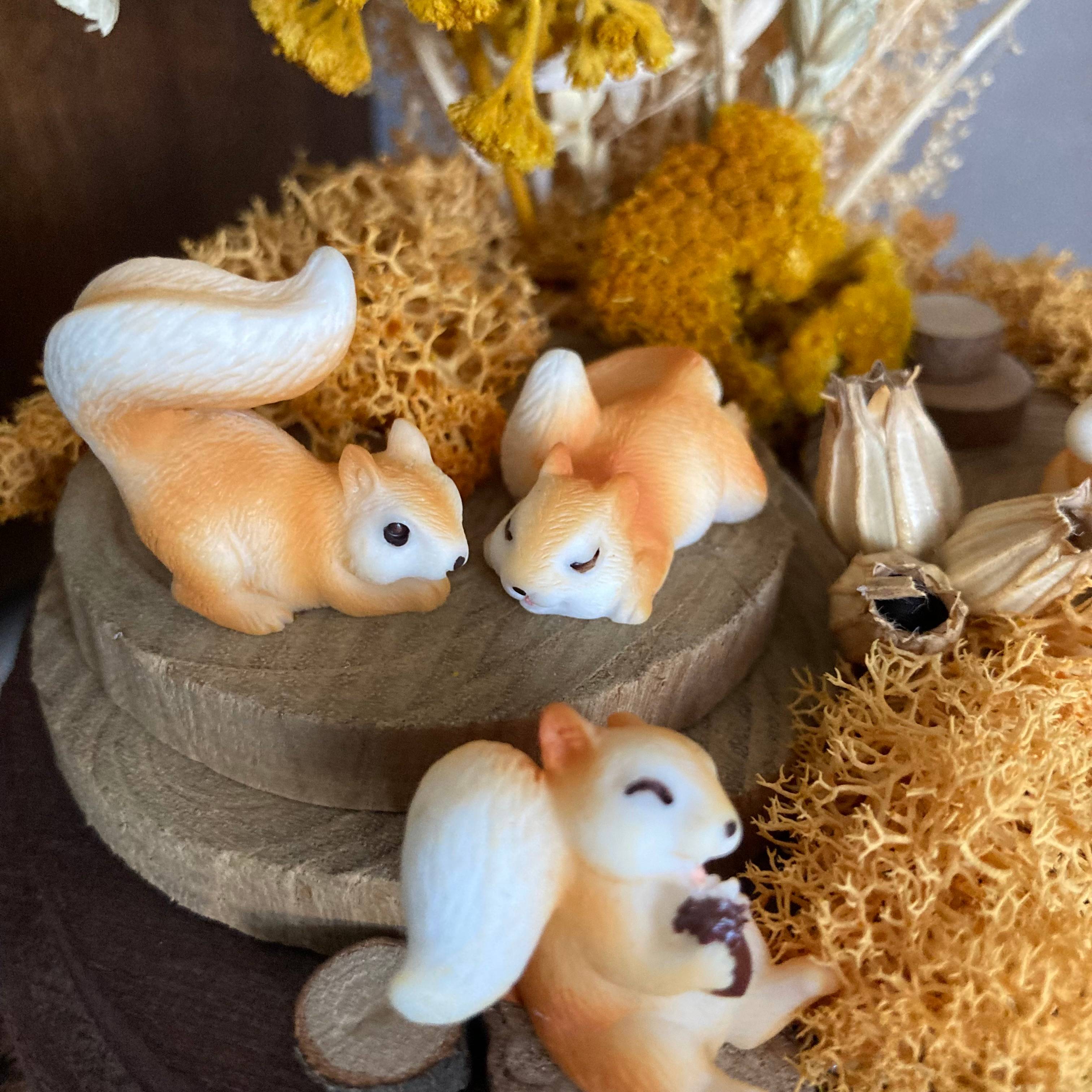 Vitrine e6f99b1ad6123016f2e8abc8ae6a4798.jpg