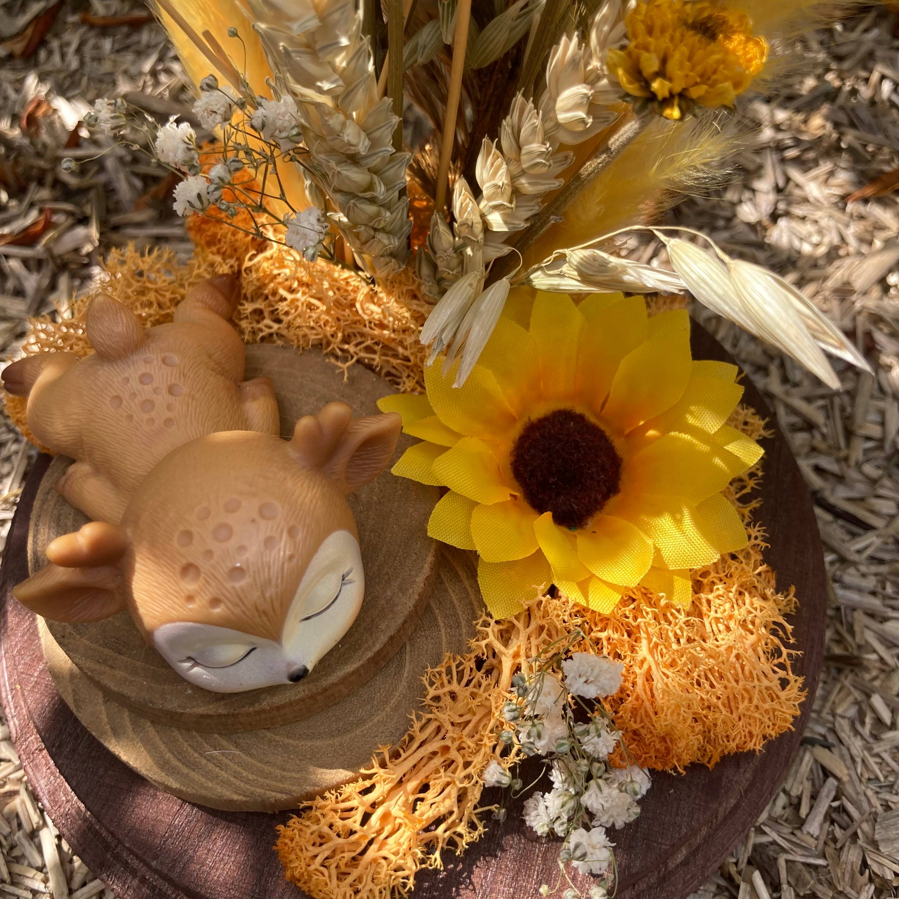 Vitrine e78ff6a5e9ce959ca5fb9bb717fd8072.jpg