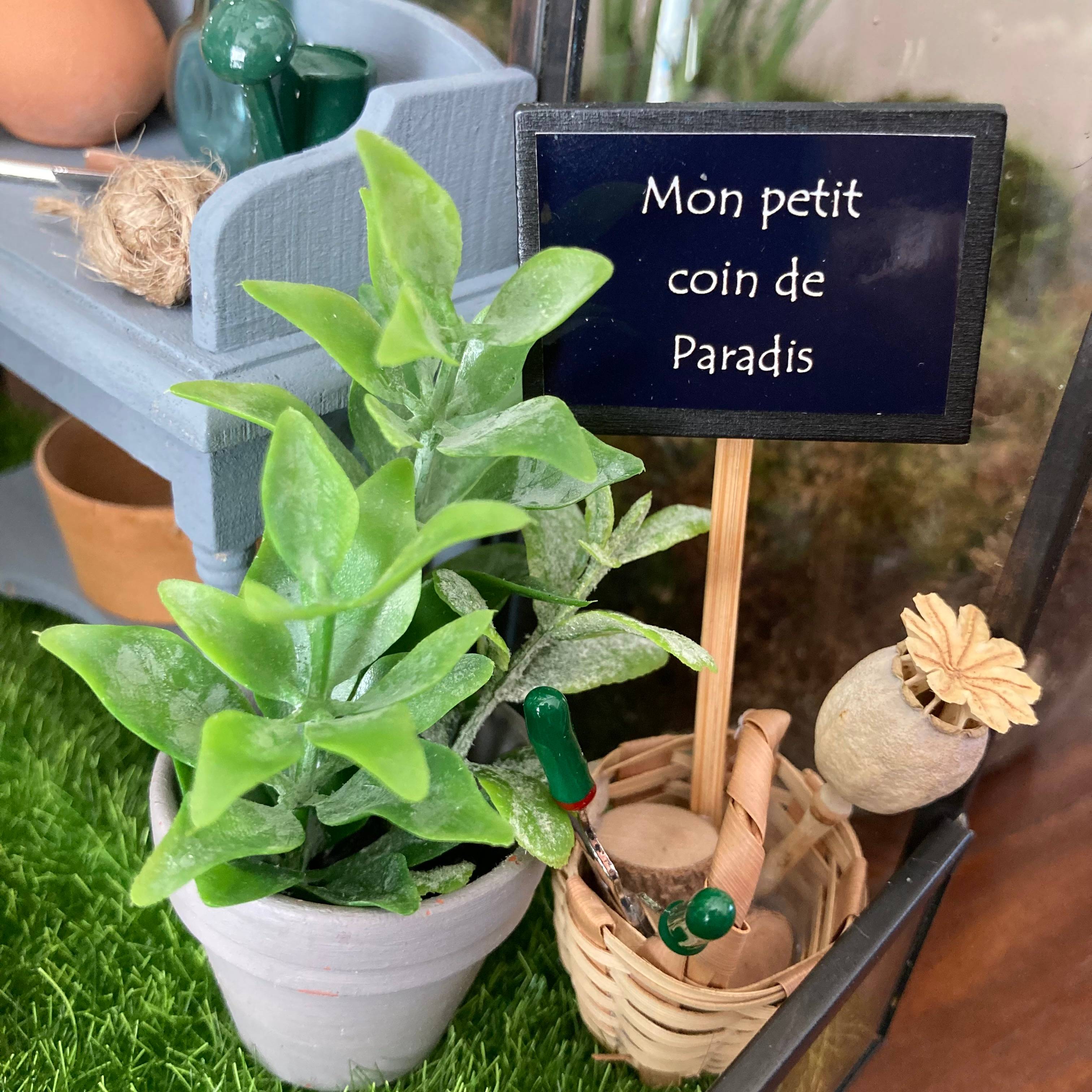 Vitrine e7cd2131ab2d22945d42b7bbf3768413.jpg