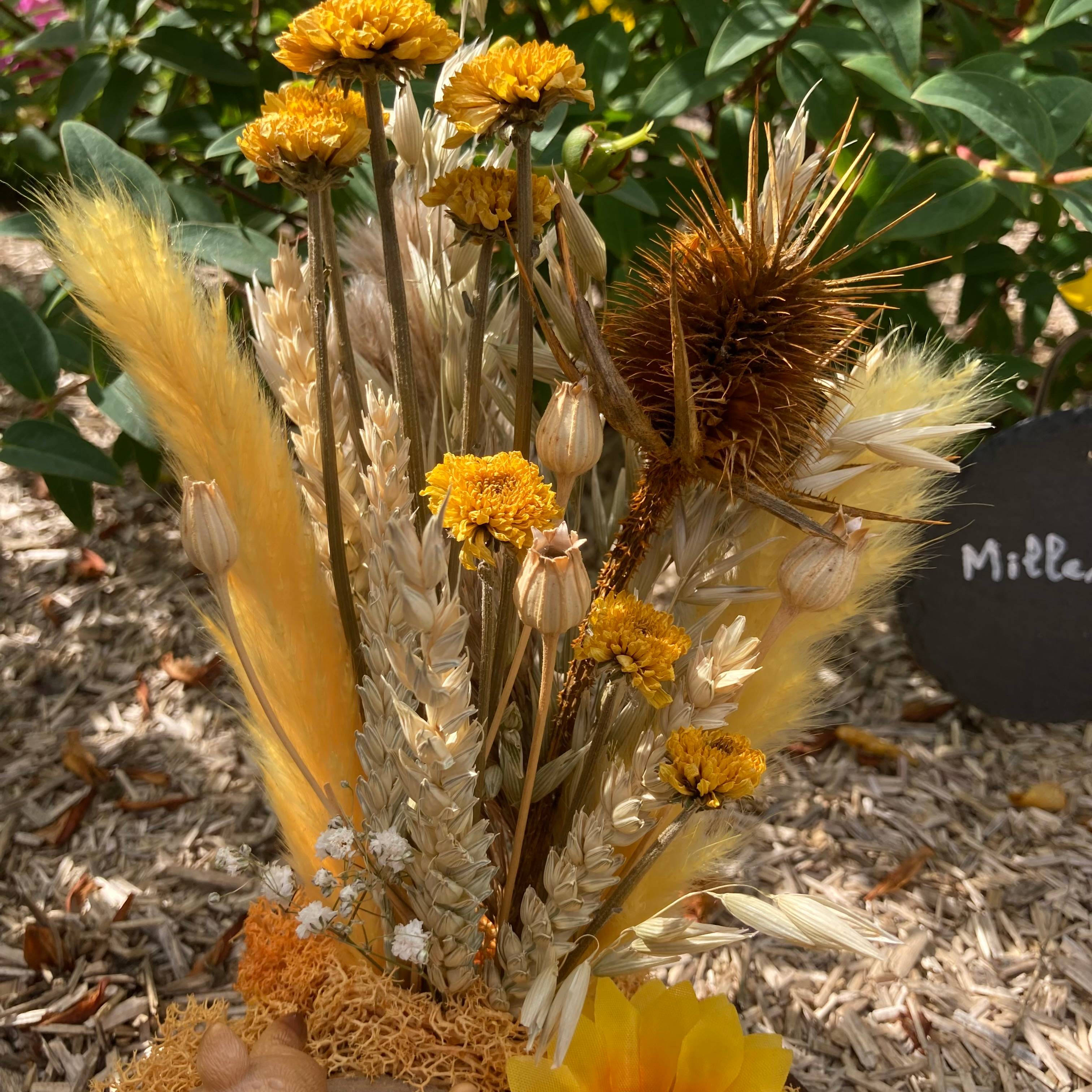 Vitrine ea7cf613d5391325bb89fdf2314dba47.jpg