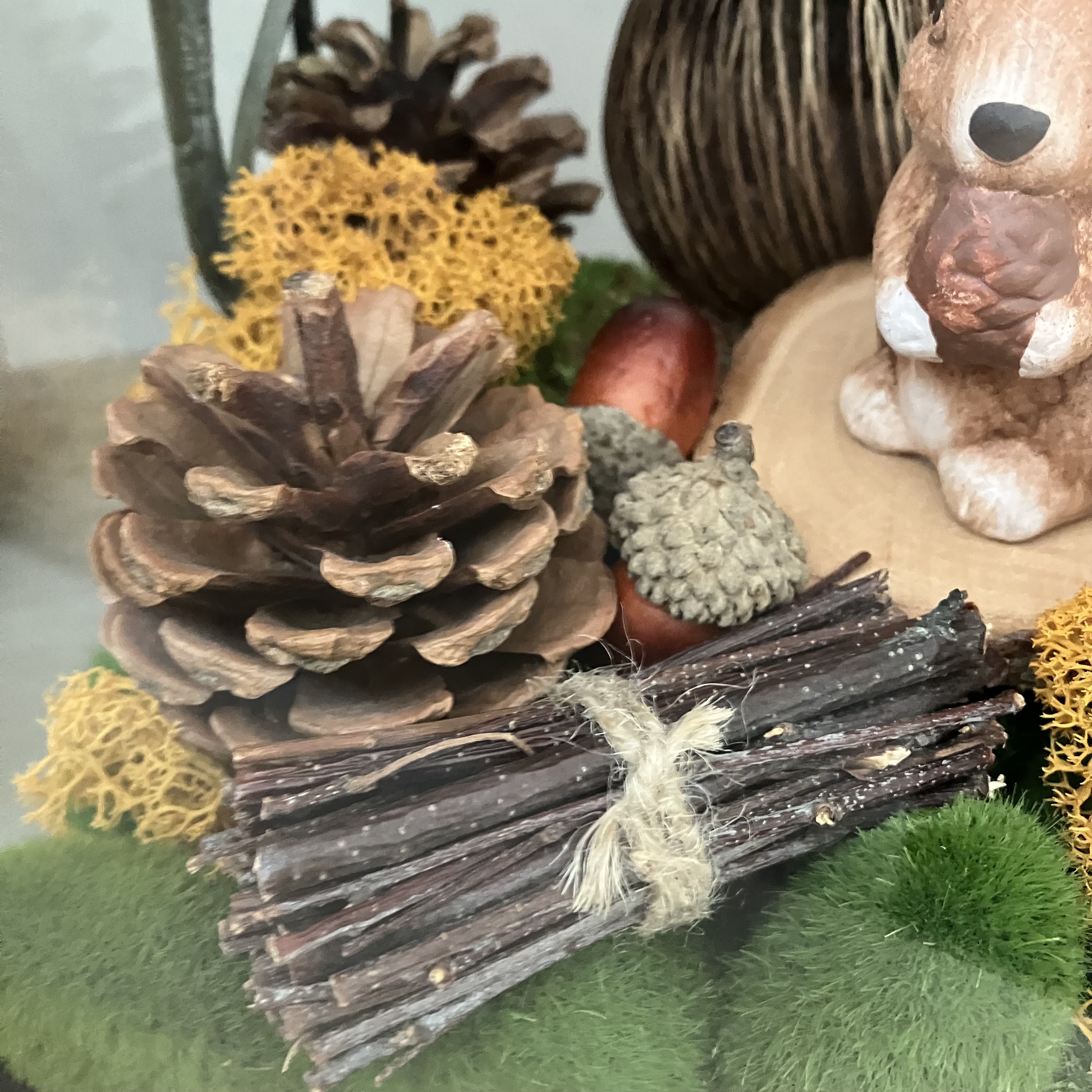 Vitrine edc7d2f41194221c36e28ca5fad575dc.jpg