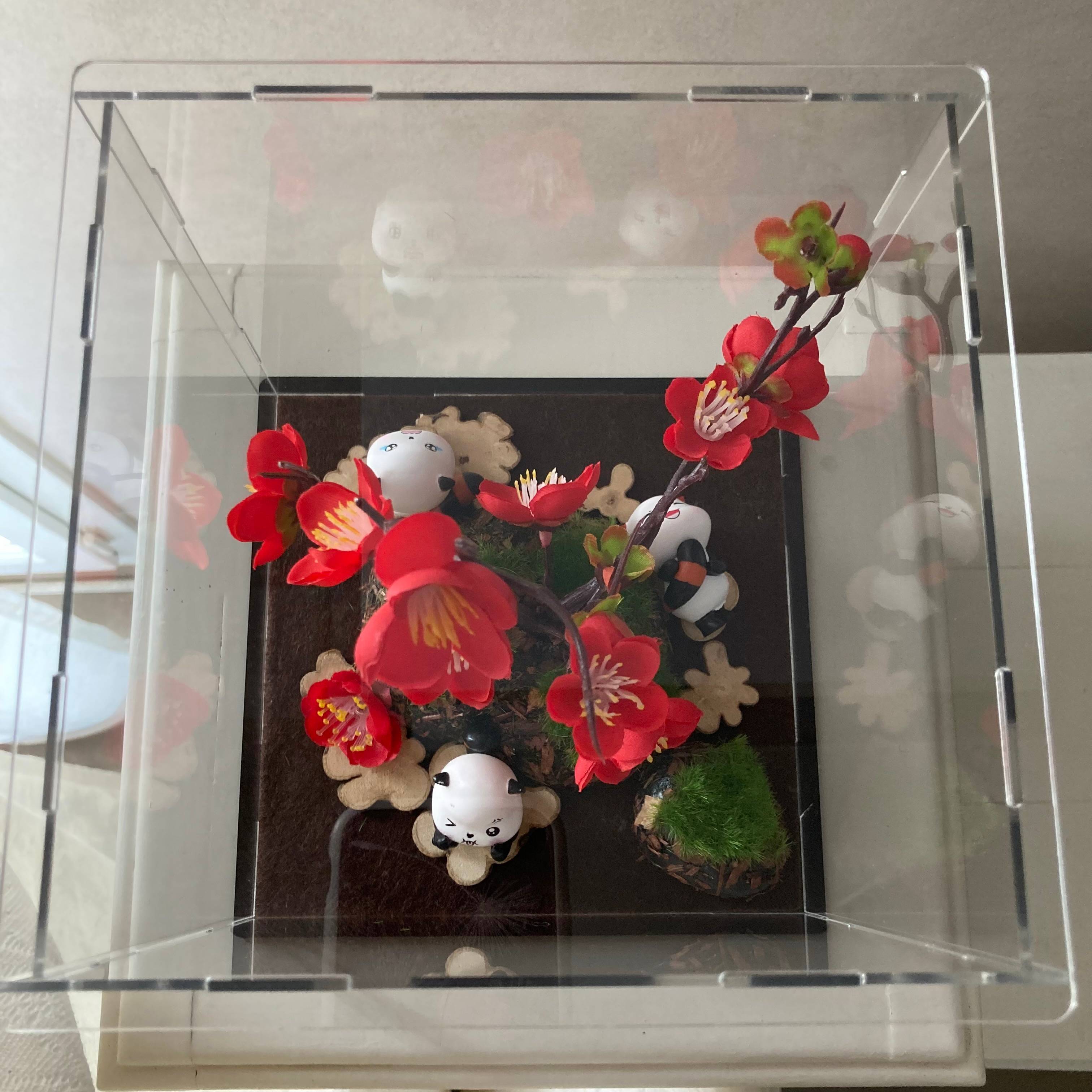 Vitrine efc23582a90dbac7708777c65c10c616.jpg