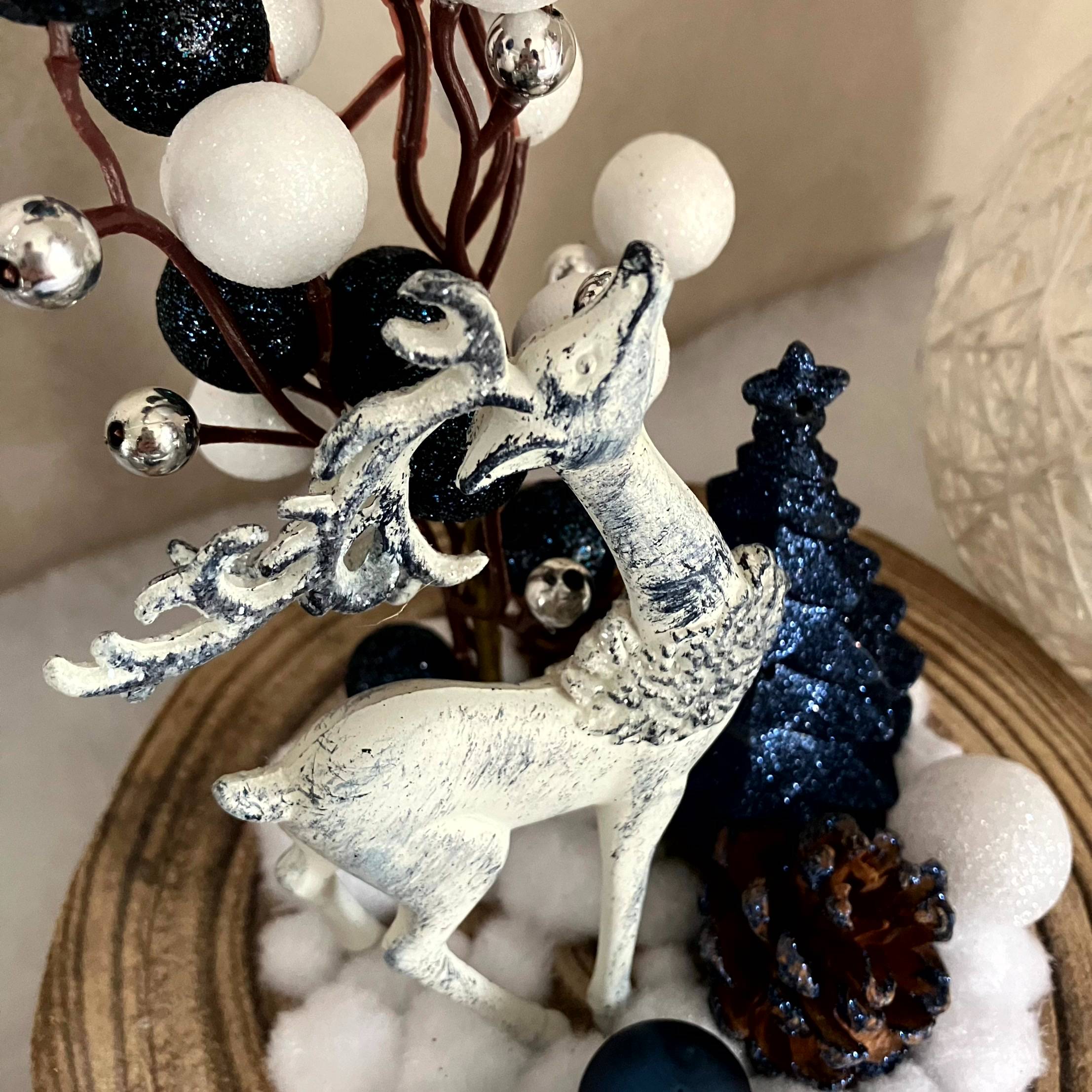 Vitrine f1ce2ecf44cb83f3d9aefdab100823ba.jpg