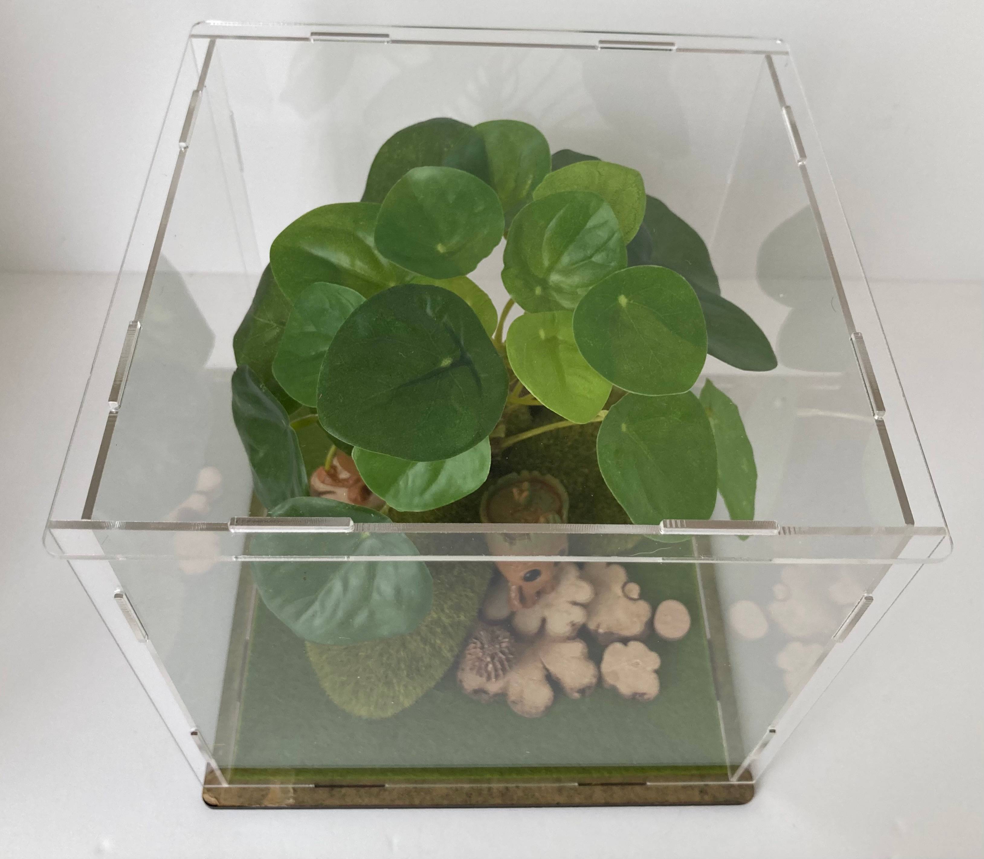 Vitrine f3561aa80611d28c89fd03a993567eb8.jpg