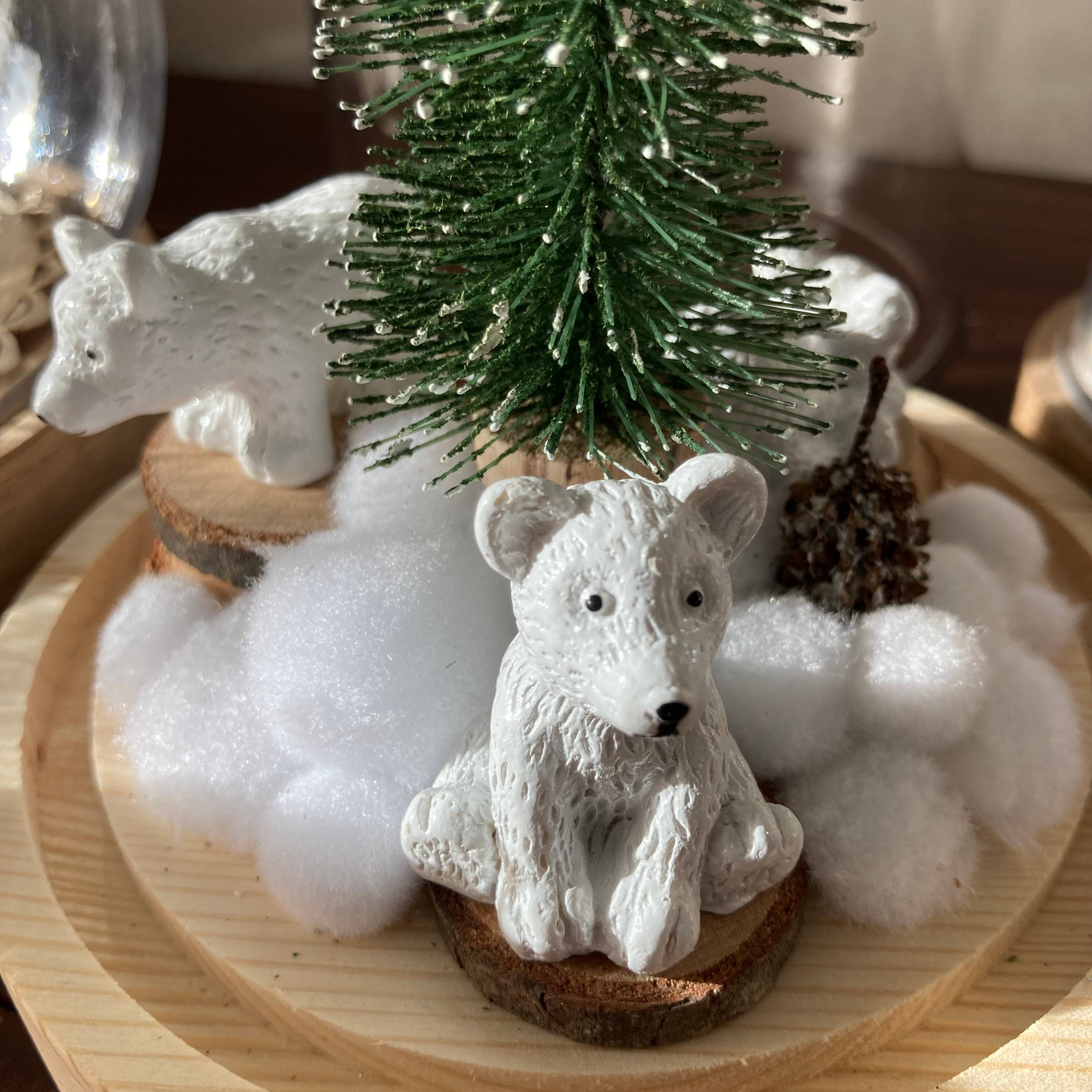 Vitrine f87d0d8146c52372b6bd3350975af275.jpg