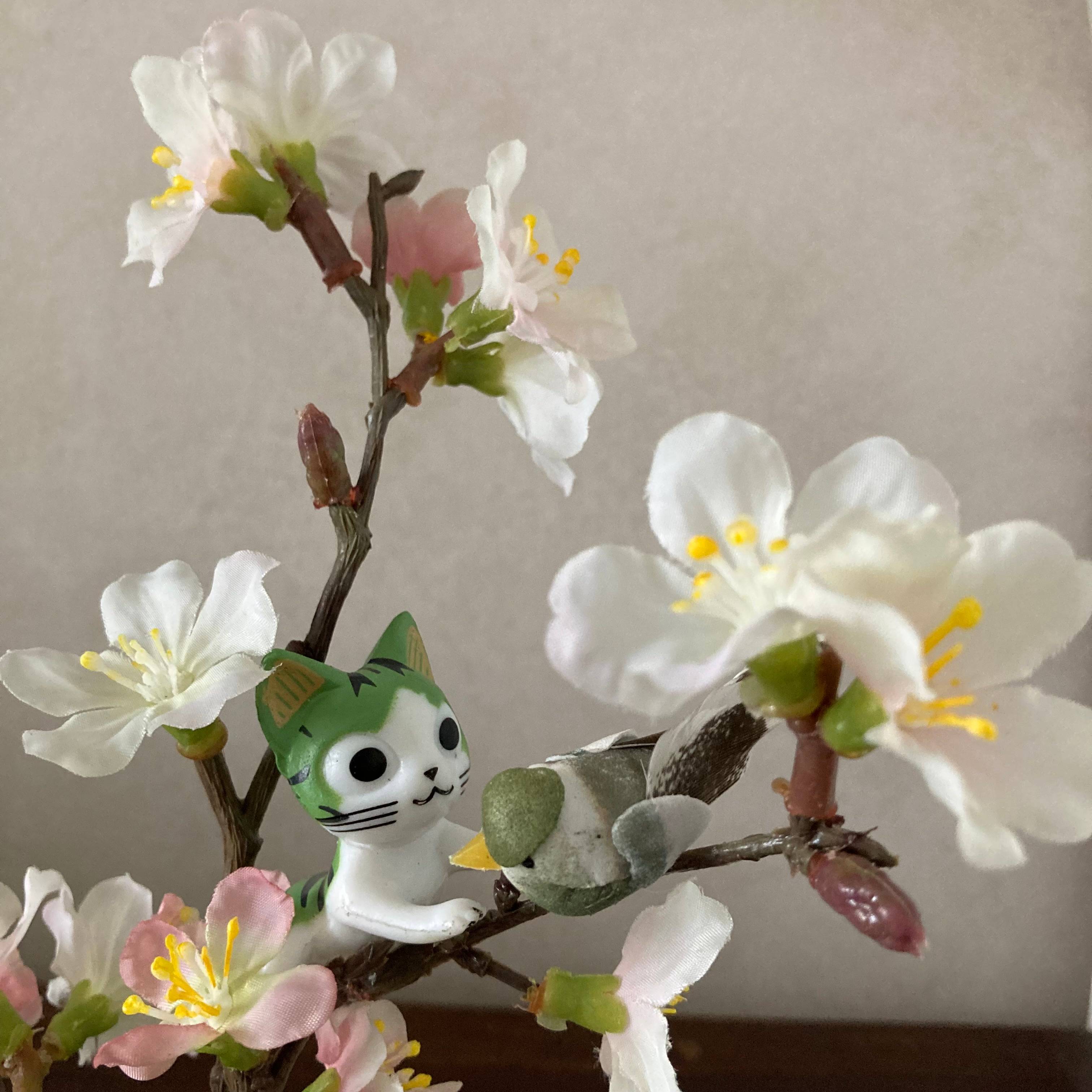 Vitrine ff53bb87ba894bb6382d43294976e7c1.jpg